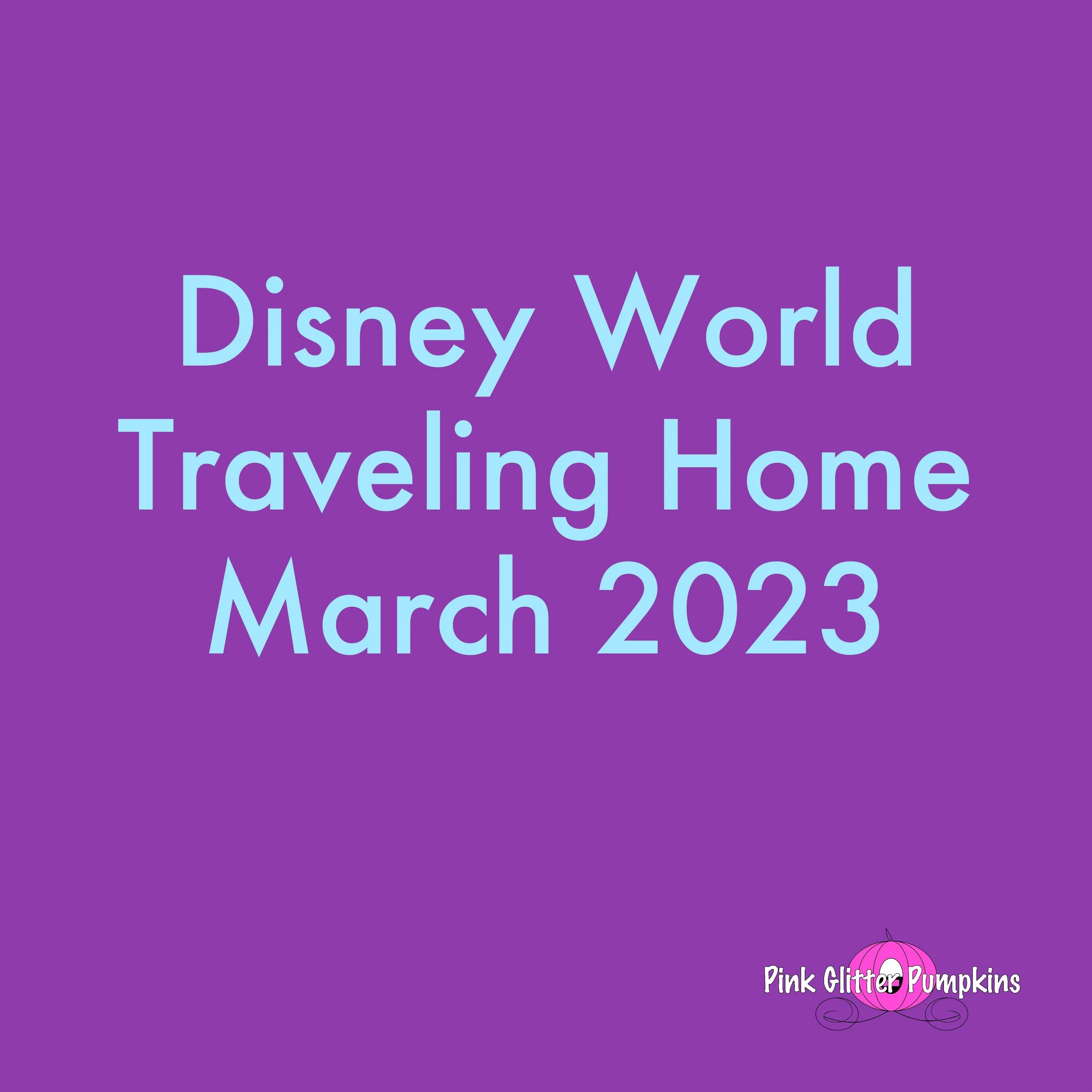 Disney World Traveling Home March 2023
