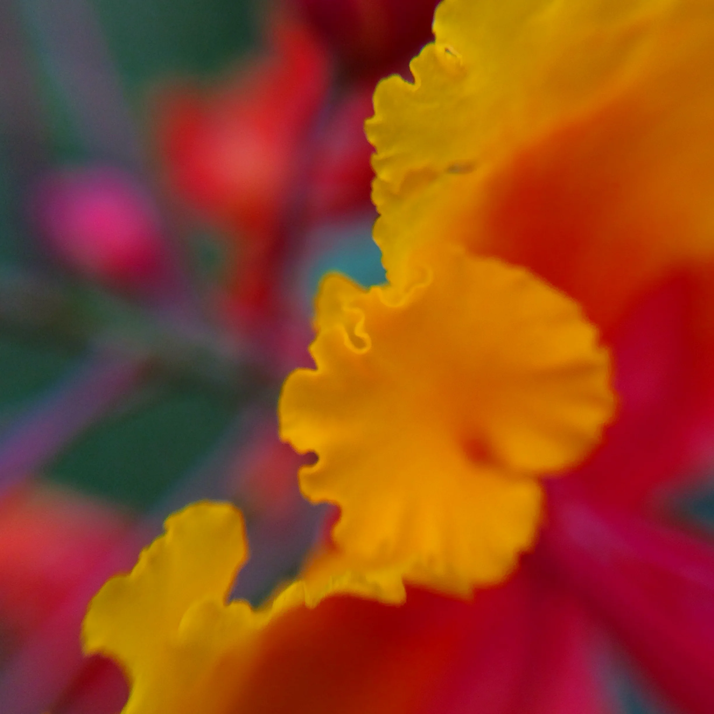 IMG_3452.JPG