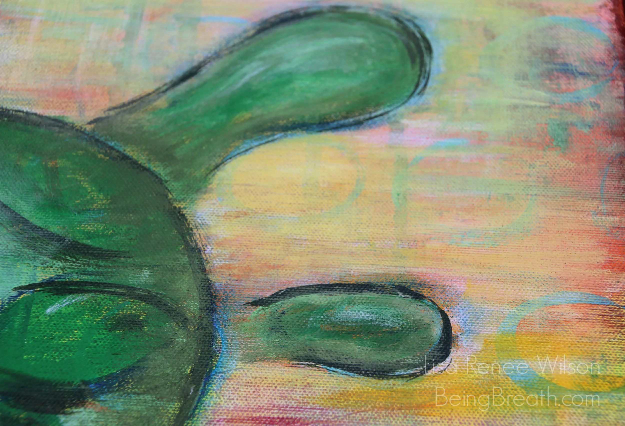Art_IMG_5745_TurtleCloseUp.jpg
