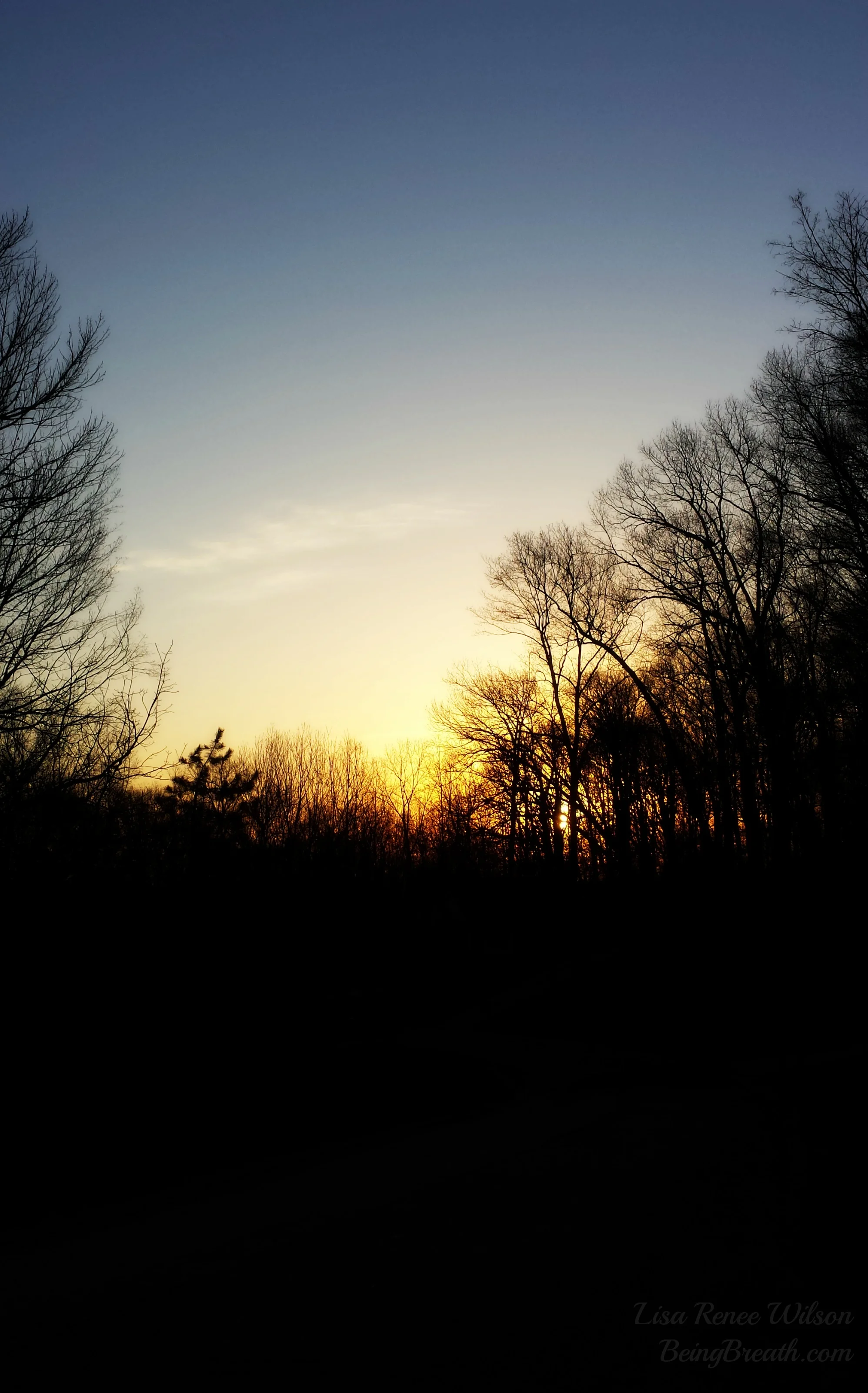 FB_2014-04-01 07.47.01_Sunrise.jpg