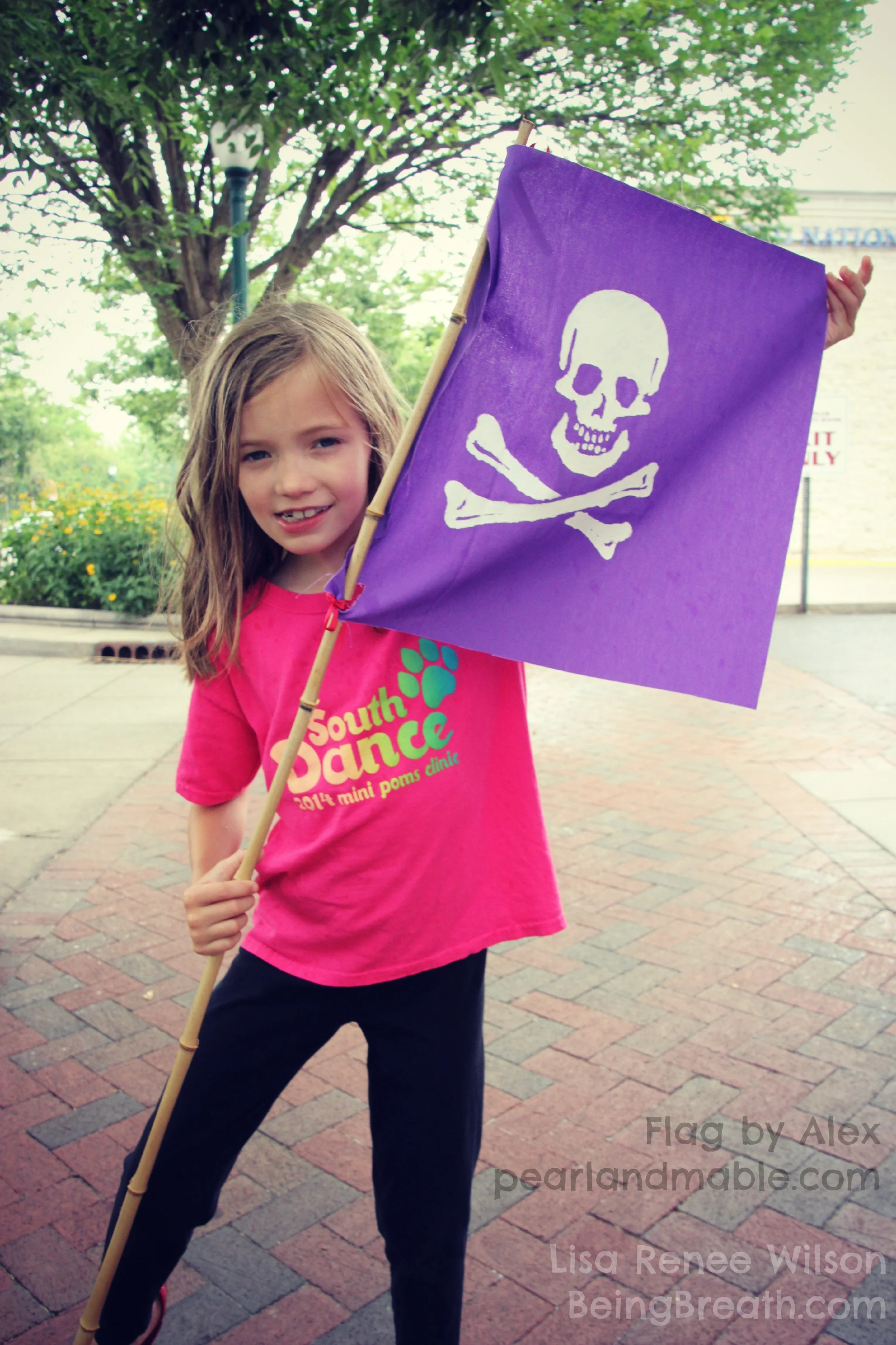 FB_IMG_7281_DAndPirateFlag.jpg
