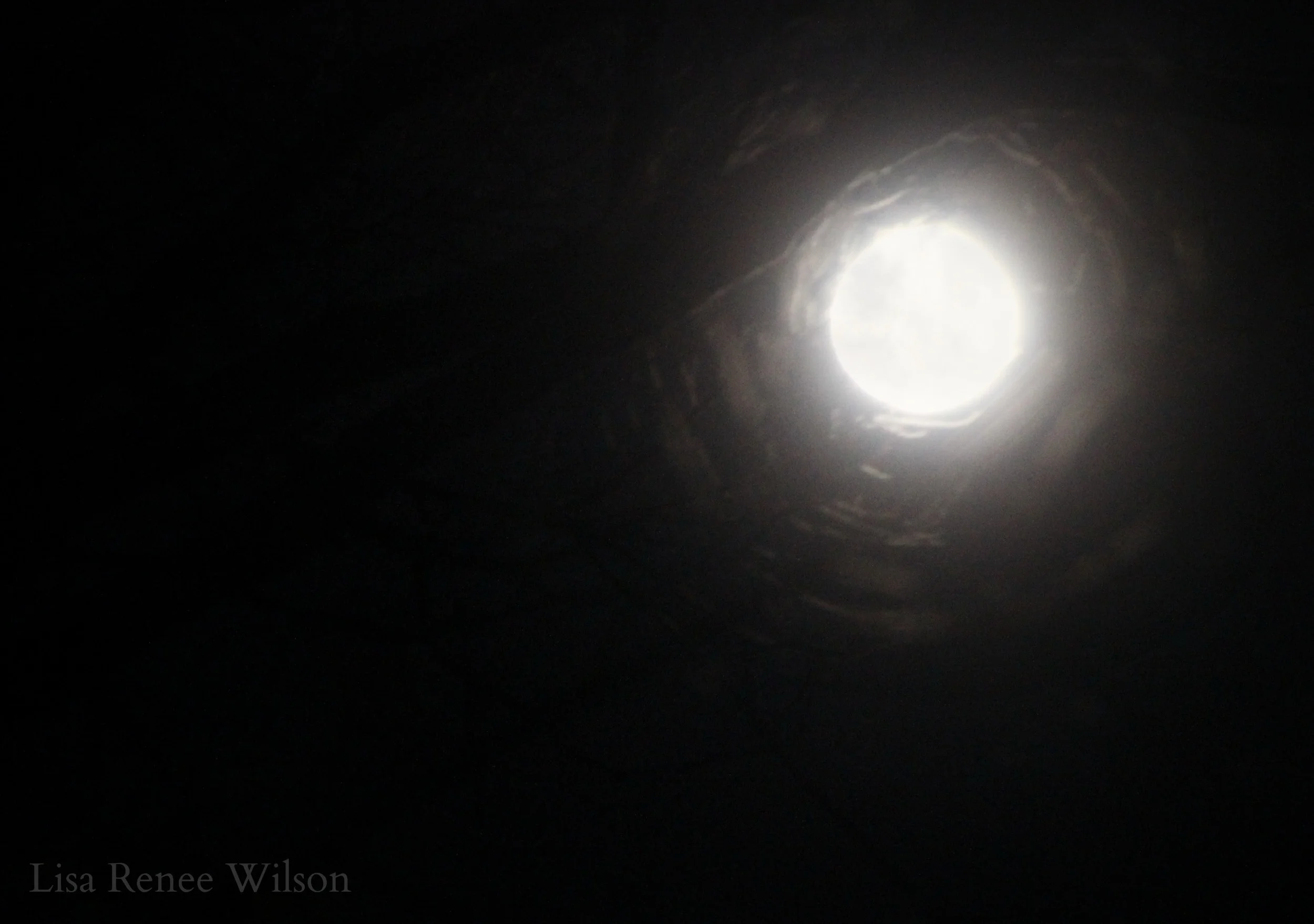 Blog_IMG_3854_FullWolfMoonClose2.jpg