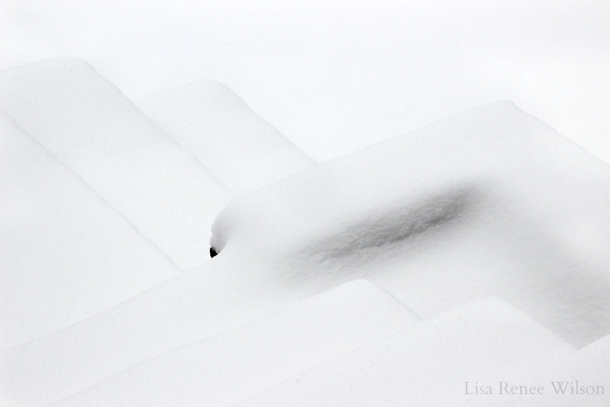 IMG_3515_SnowSteps.jpg