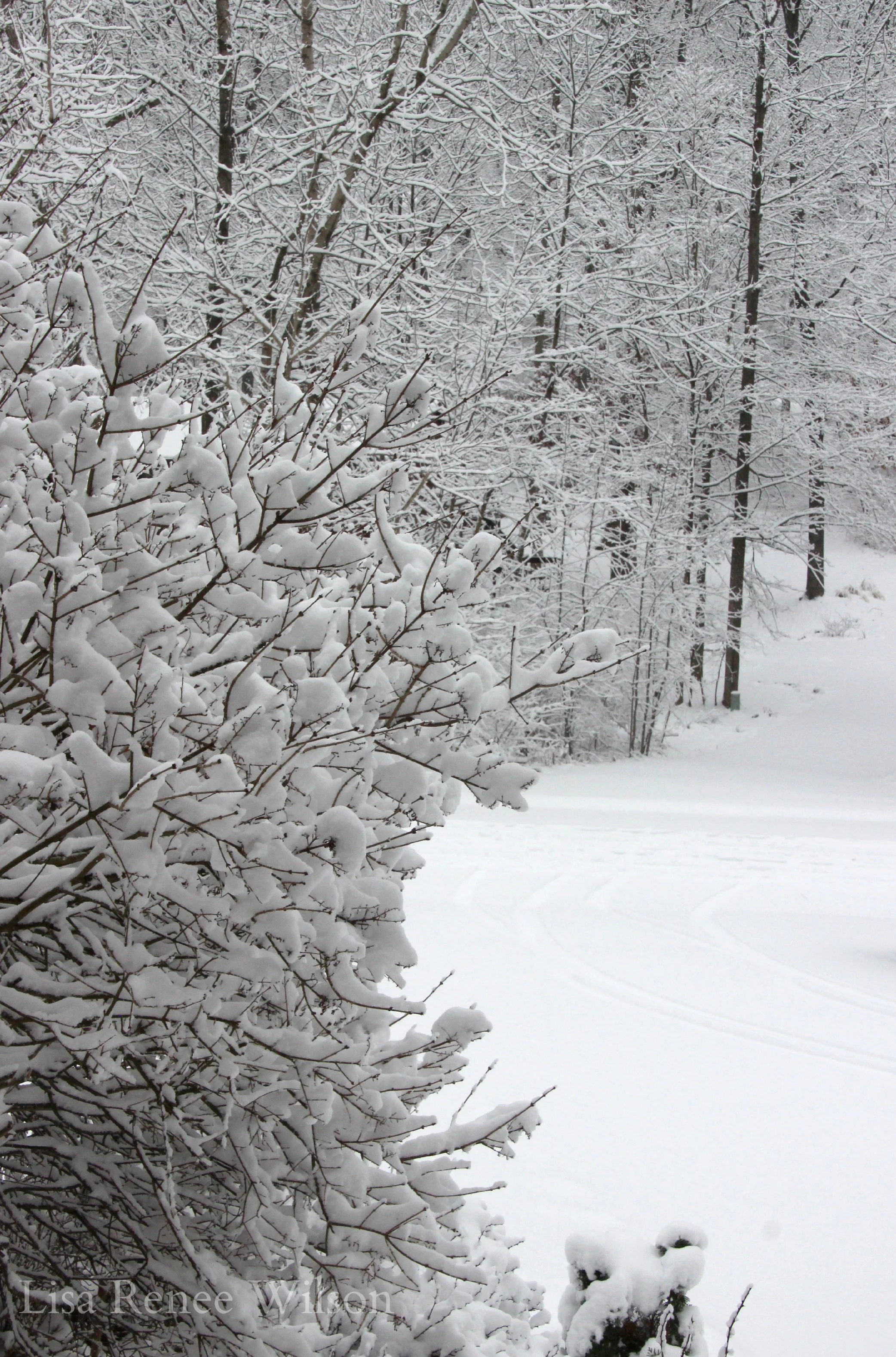 IMG_3509_SnowDriveway.jpg
