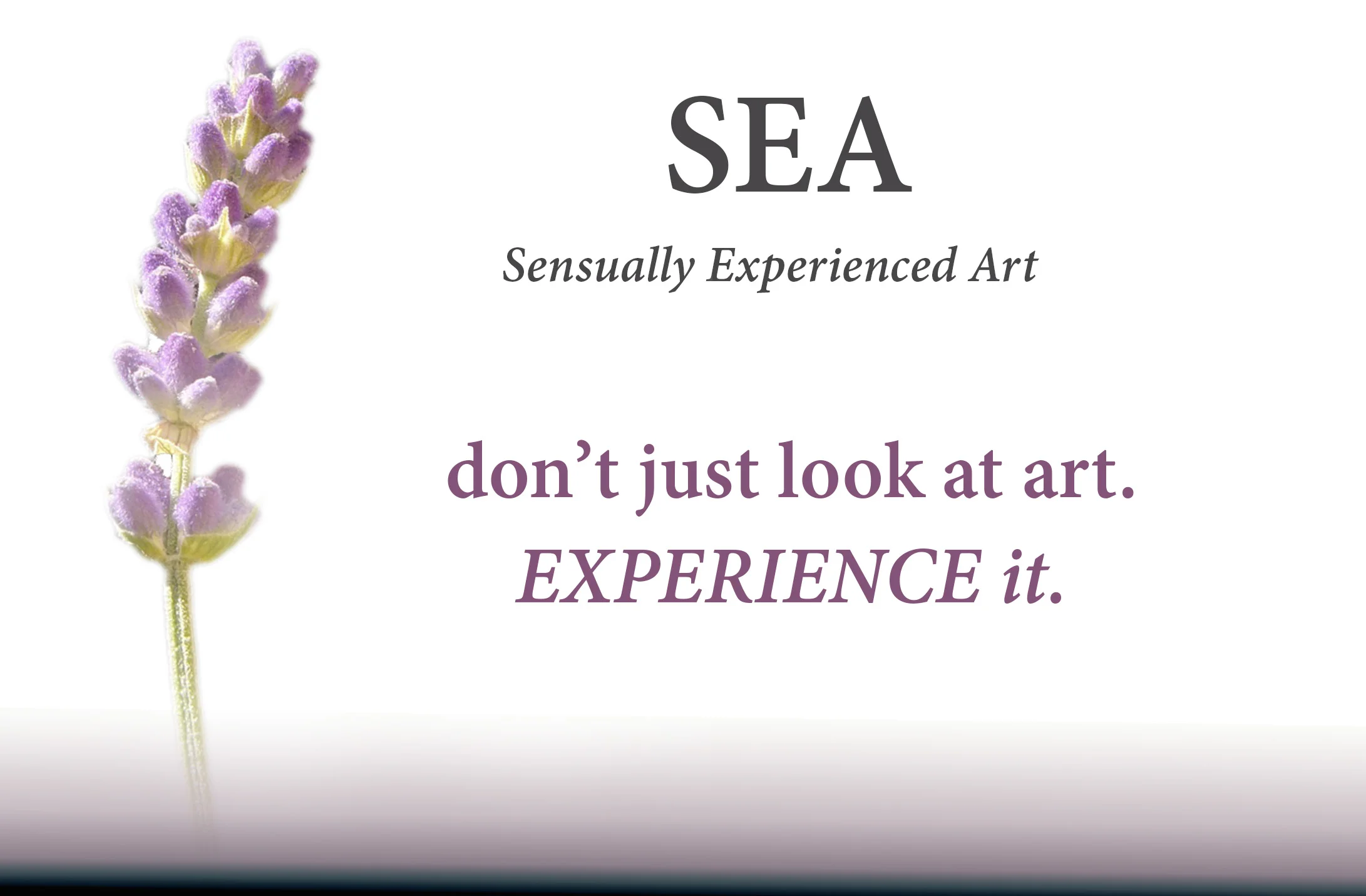 B2_SEA_LavendarSign_MottoForWebsite.jpg