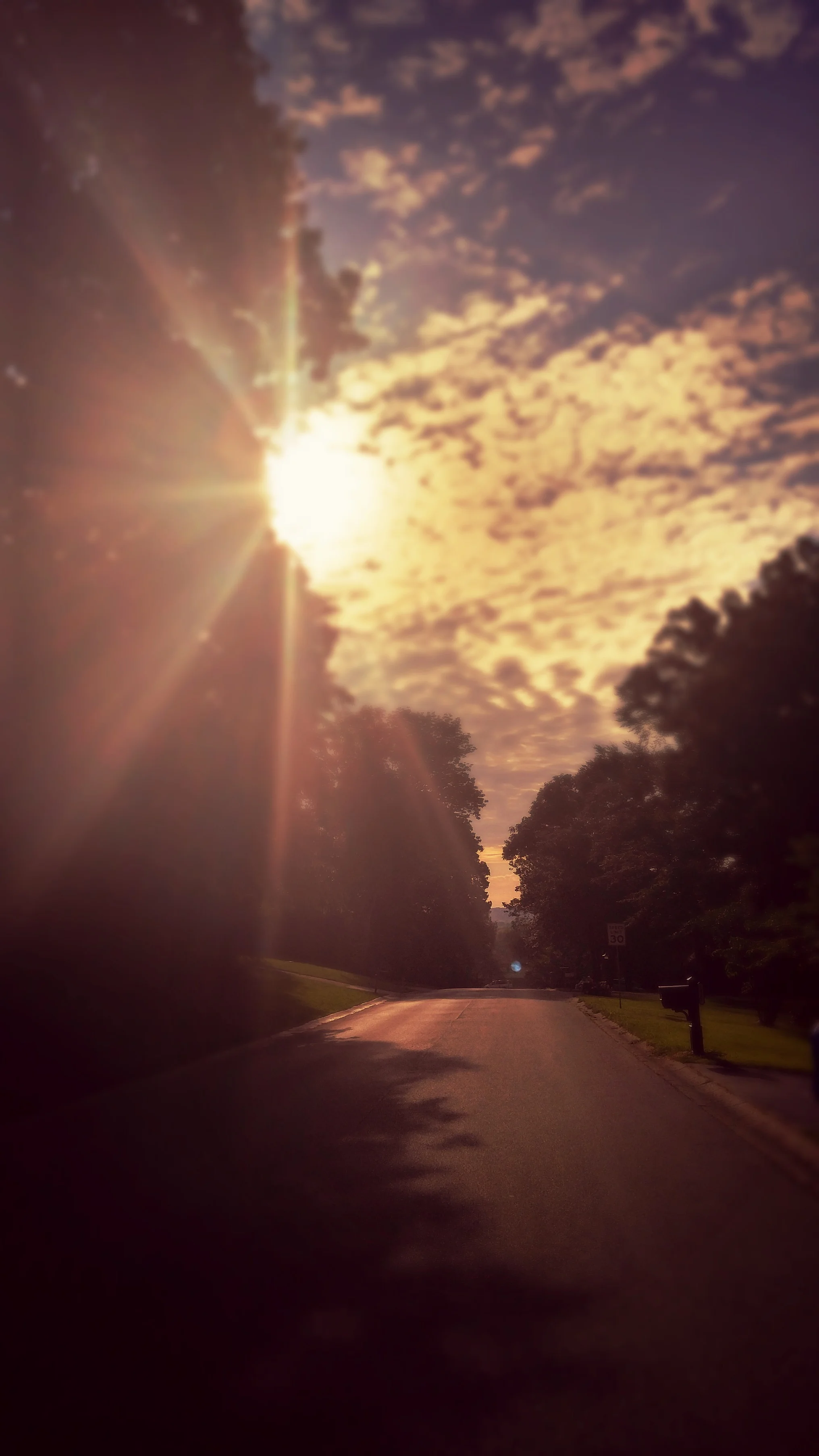 A Morning