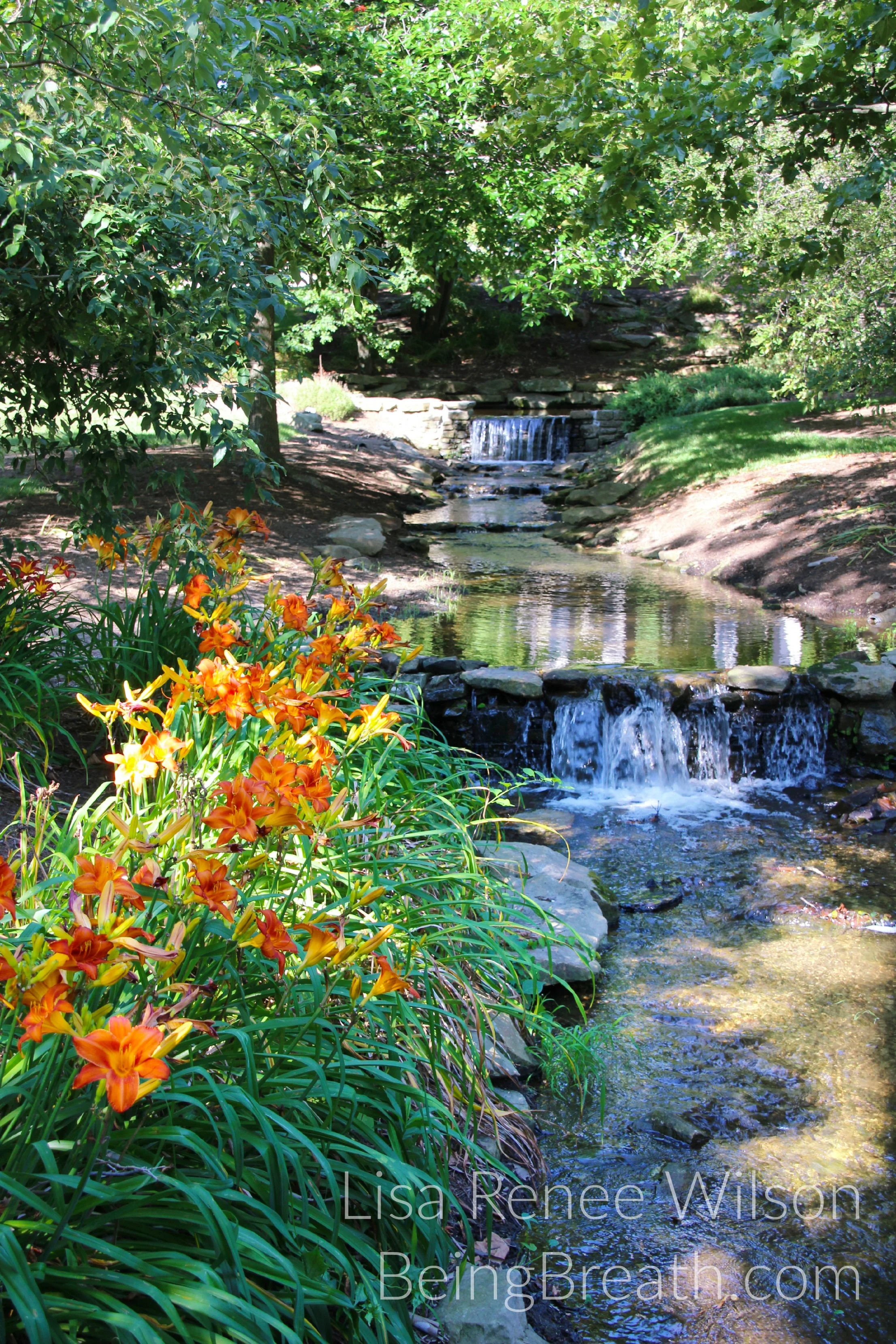 Art_Photo_WM_IMG_0252_Waterfalls.jpg