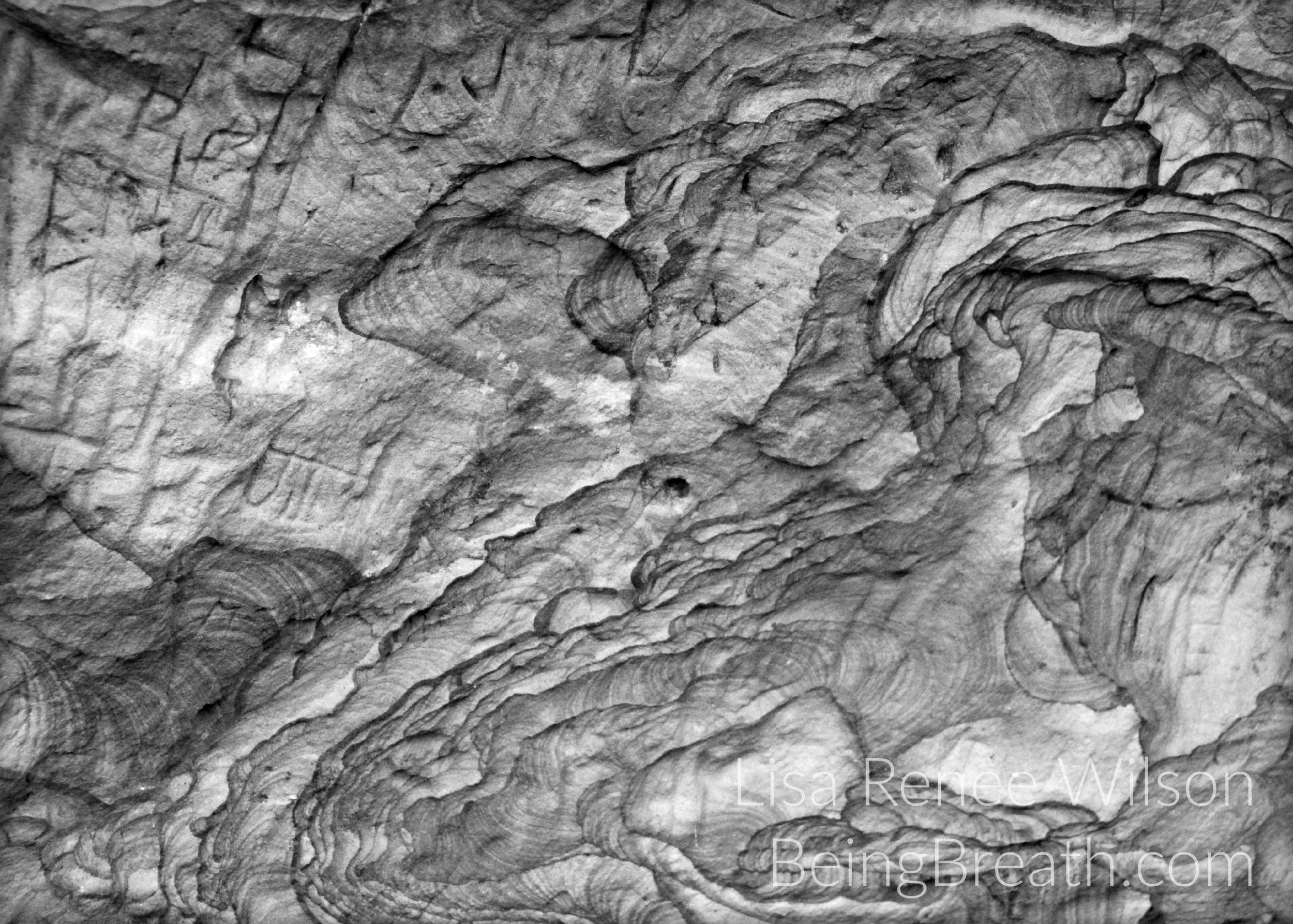 Art_Photo_WM_IMG_0268_NaturalBridgeWall.jpg