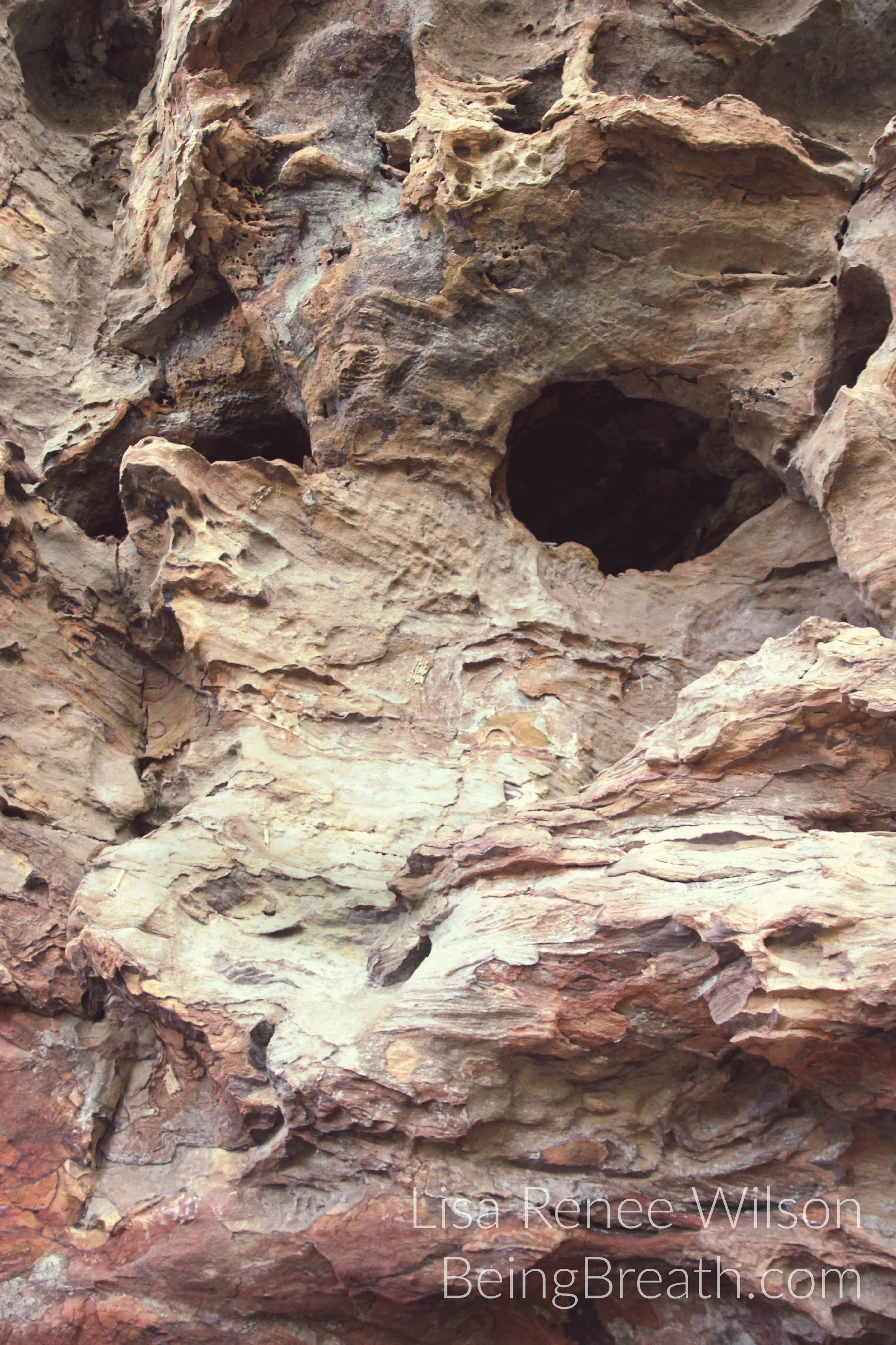Art_Photo_WM_IMG_0276_FaceOnRock.jpg