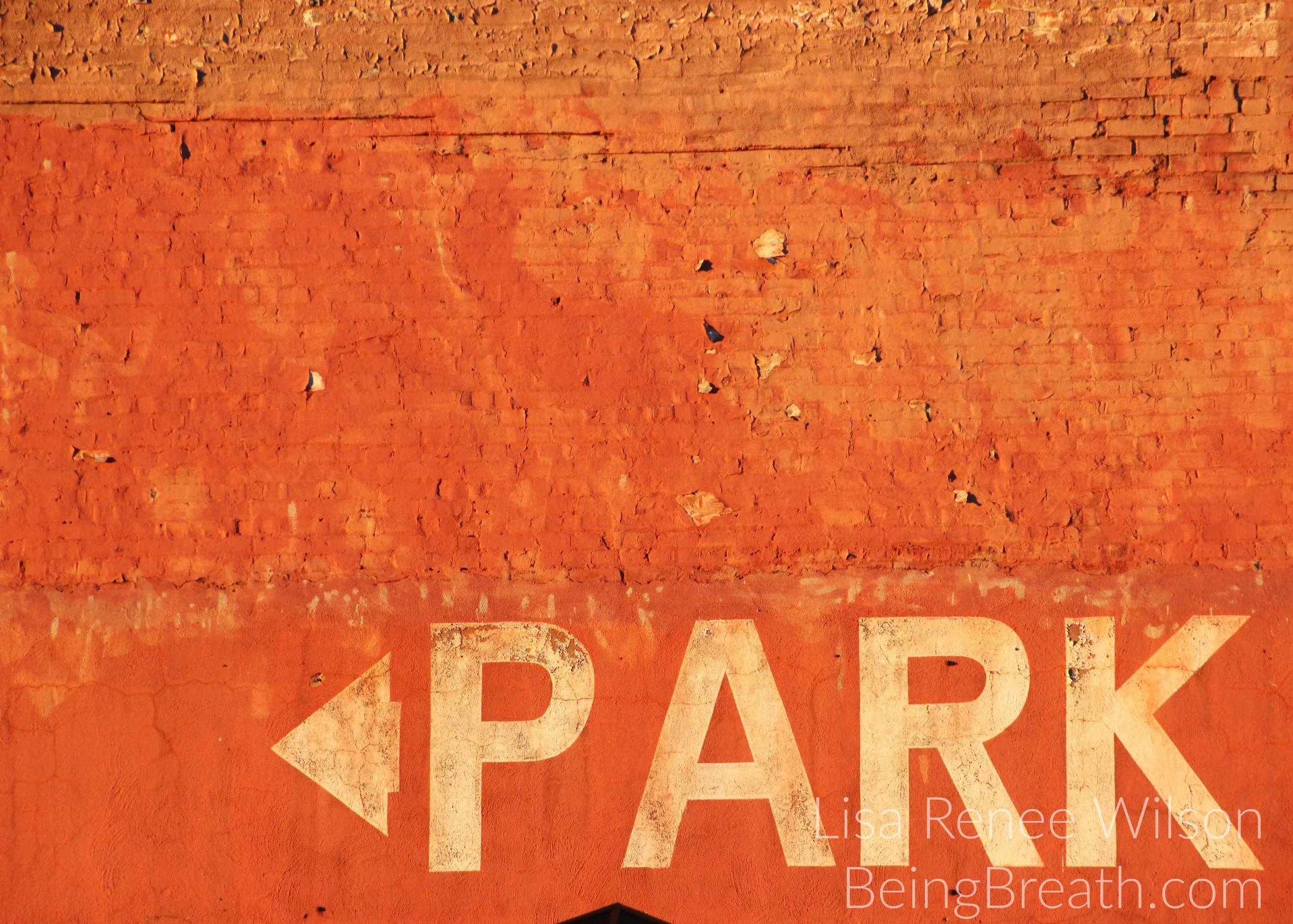 Art_Photo_WM_IMG_1046_Park.jpg