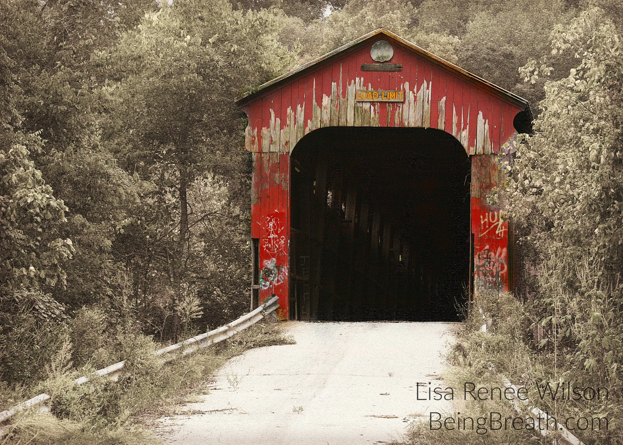 Art_Photo_WM_IMG_0939_BridgeOffColor.jpg