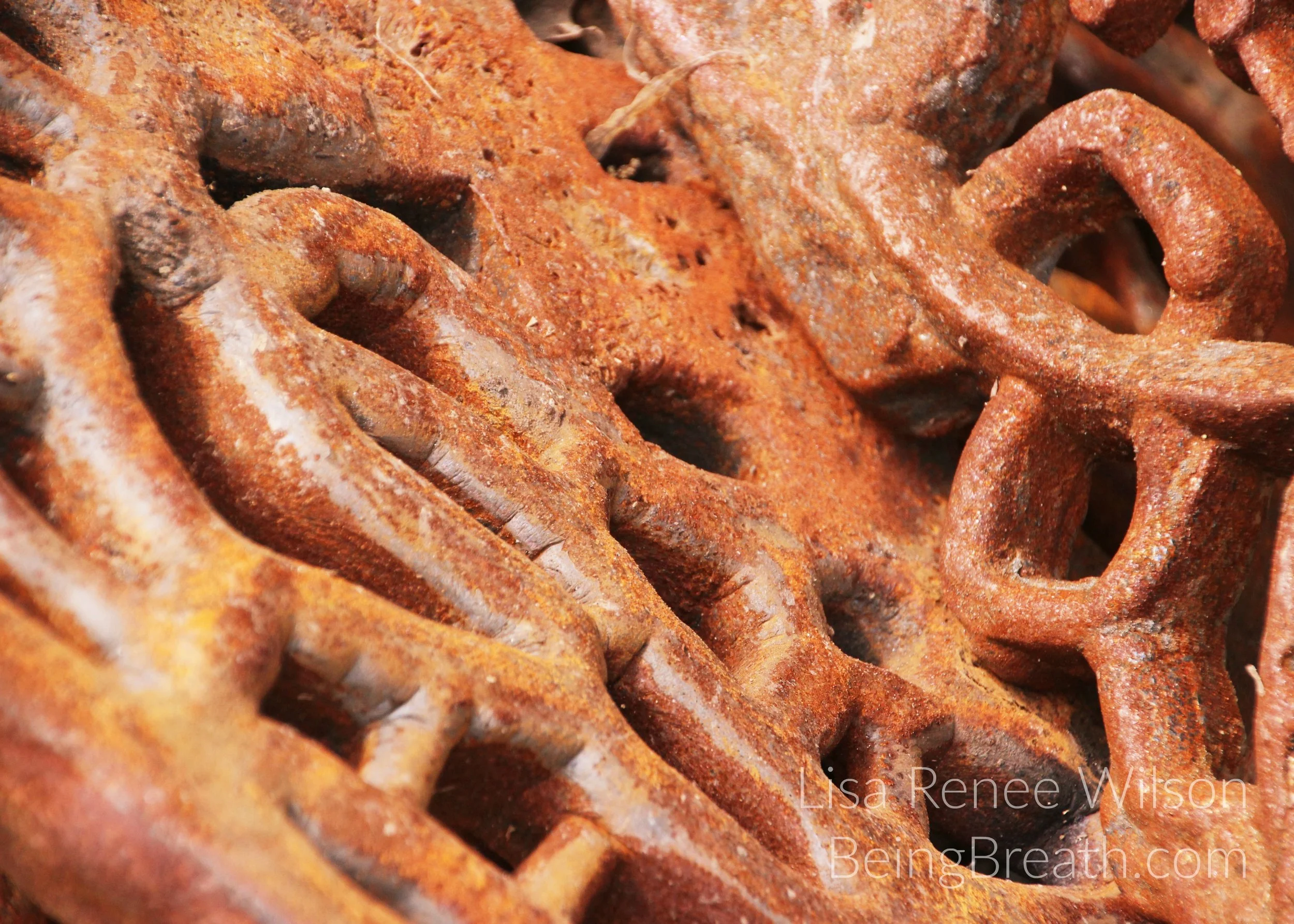 Art_Photo_WM_IMG_1878_RustedMetal.jpg