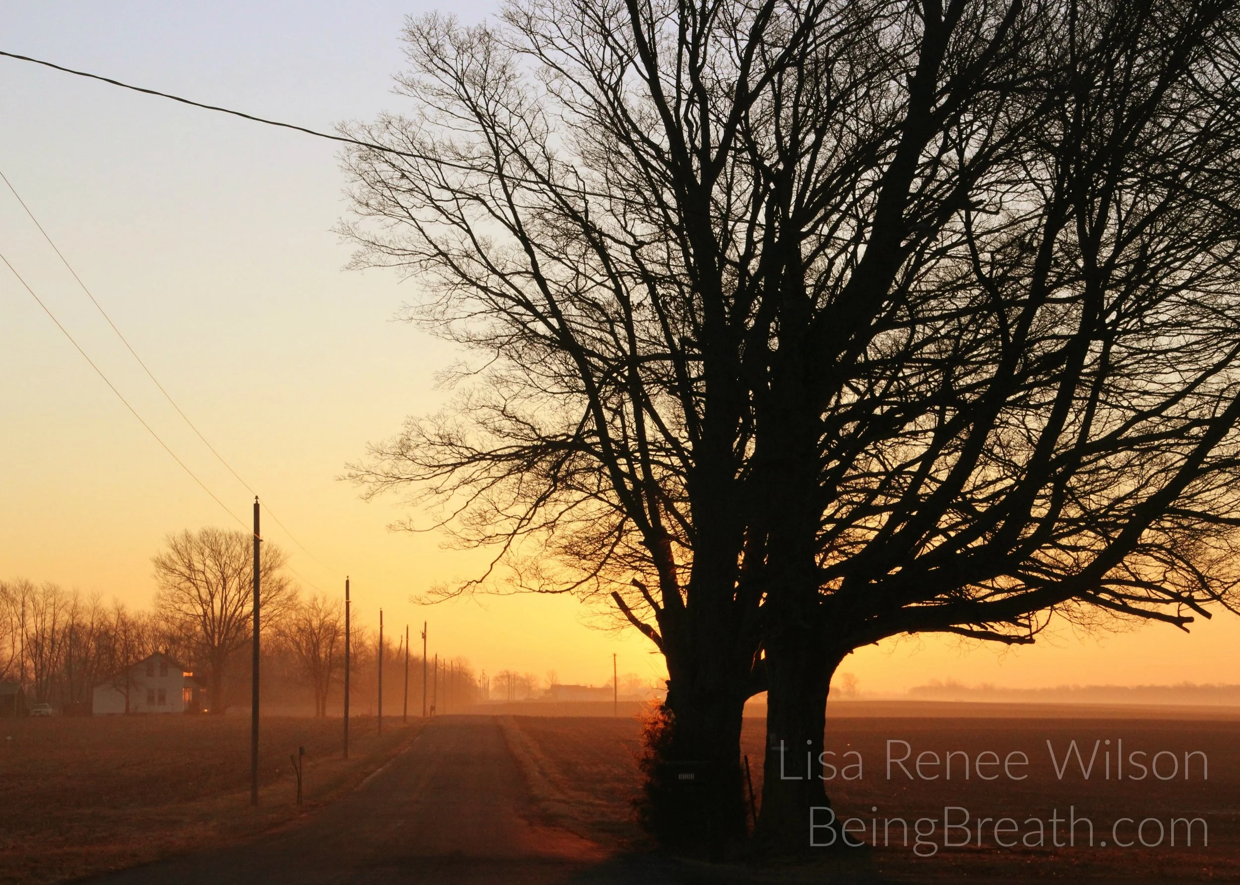 Art_Photo_WM_IMG_2681_WatchingTheSunrise.jpg