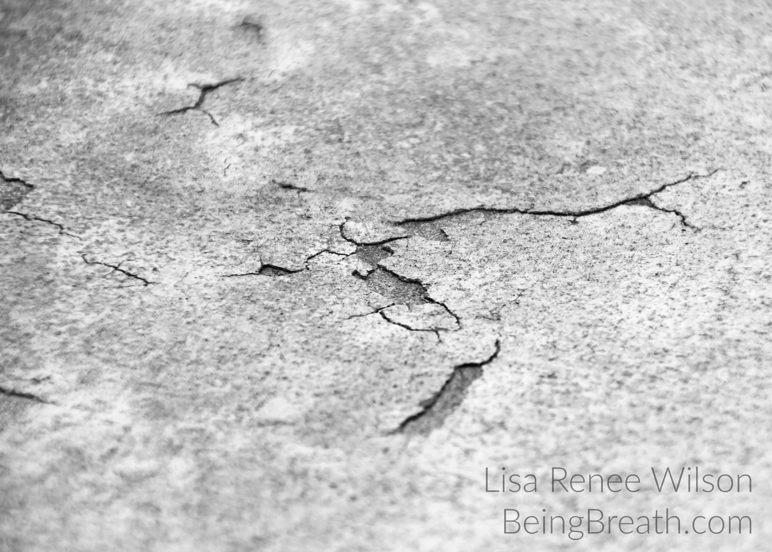 Art_Photo_WM_IMG_7083_Impermanence.jpg
