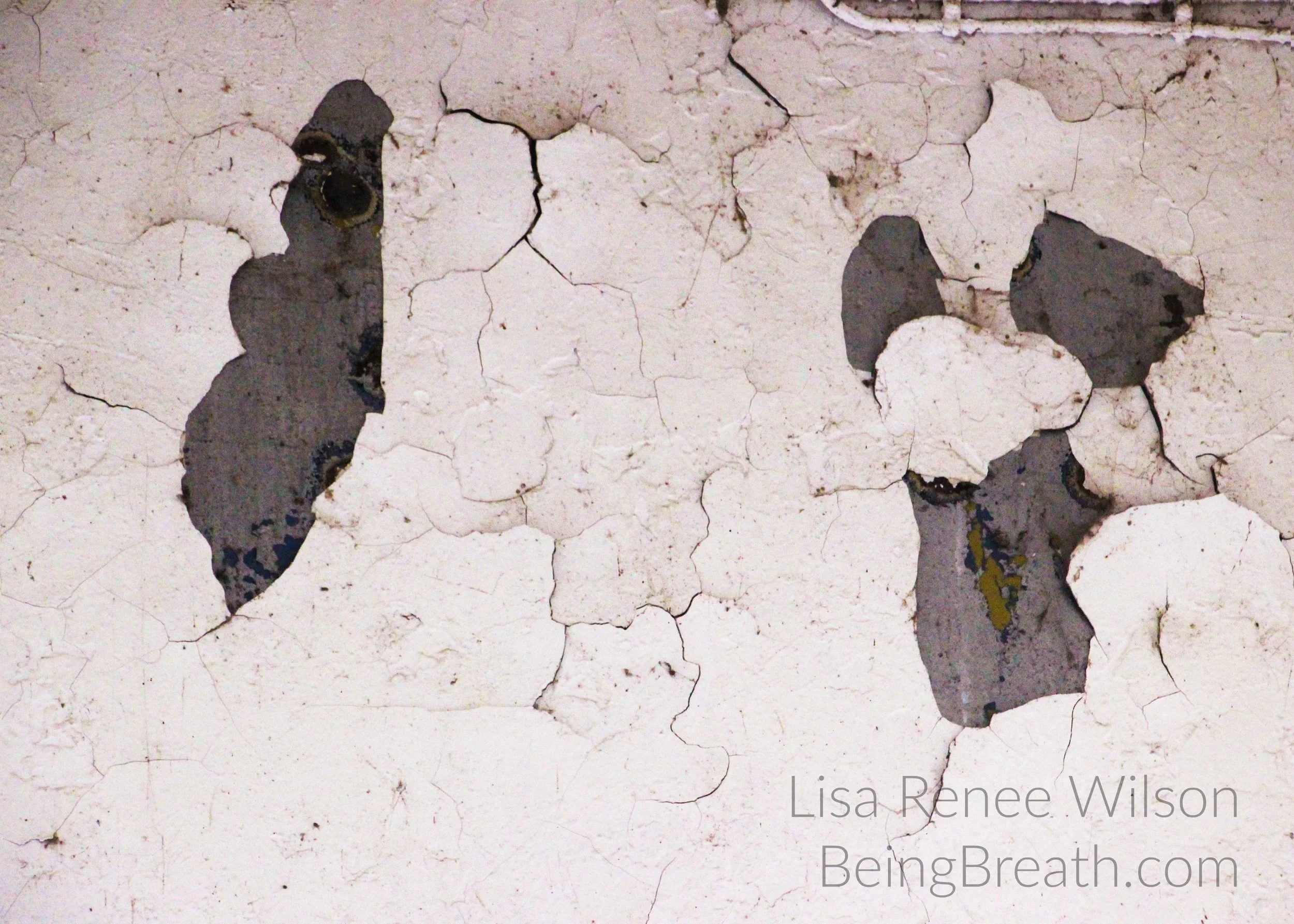 Art_Photo_WM_IMG_7308_CracksInWall.jpg