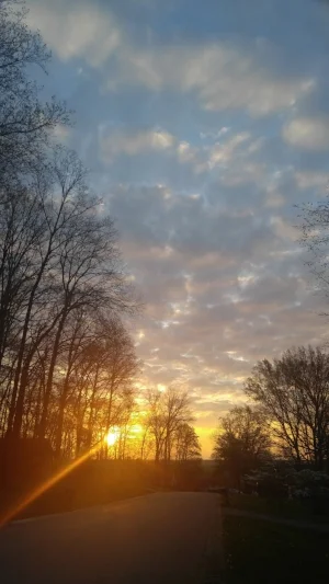 2016-04-20 07.18.03.jpg