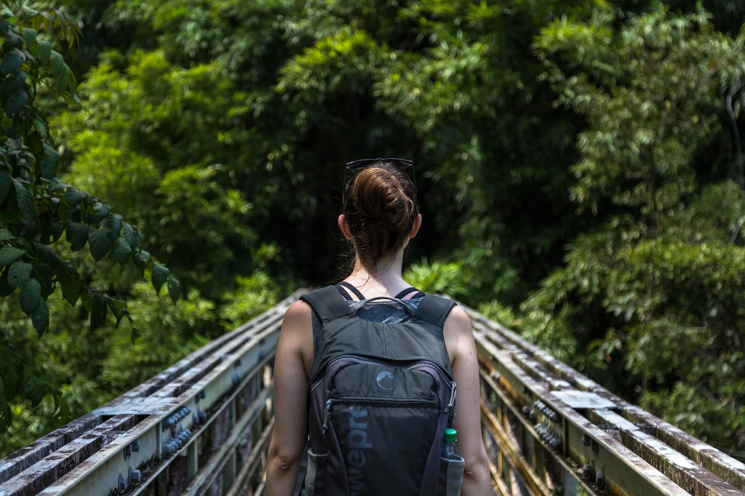 Photo by Christian Joudrey&nbsp;on Unsplash