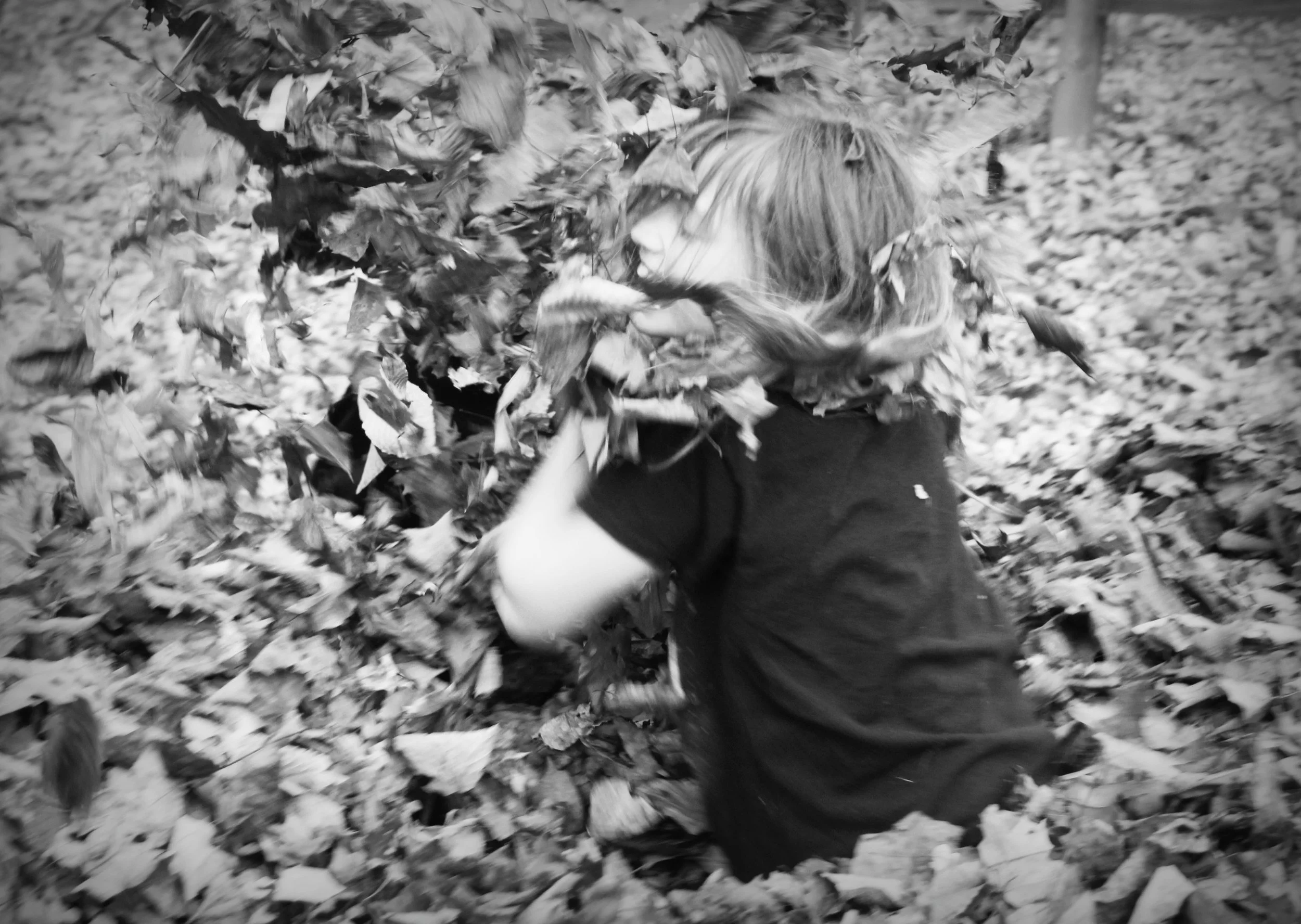 Blog_DLeaves_IMG_8142.jpg