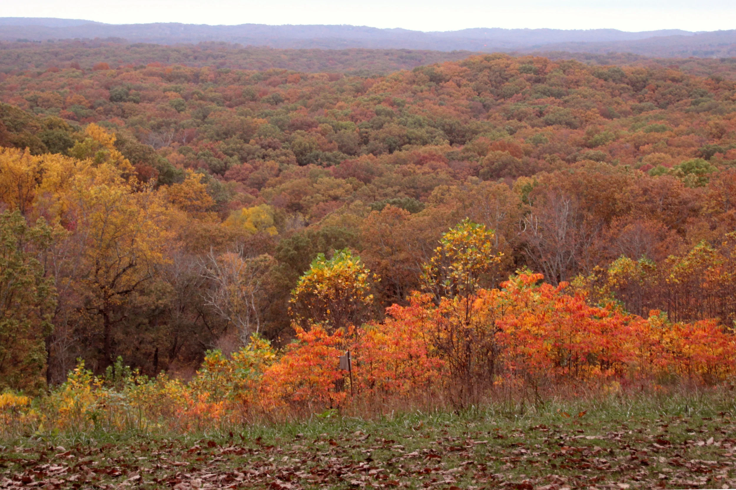 Example of the view and colors, taken in 2016. Pretty … but meh.
