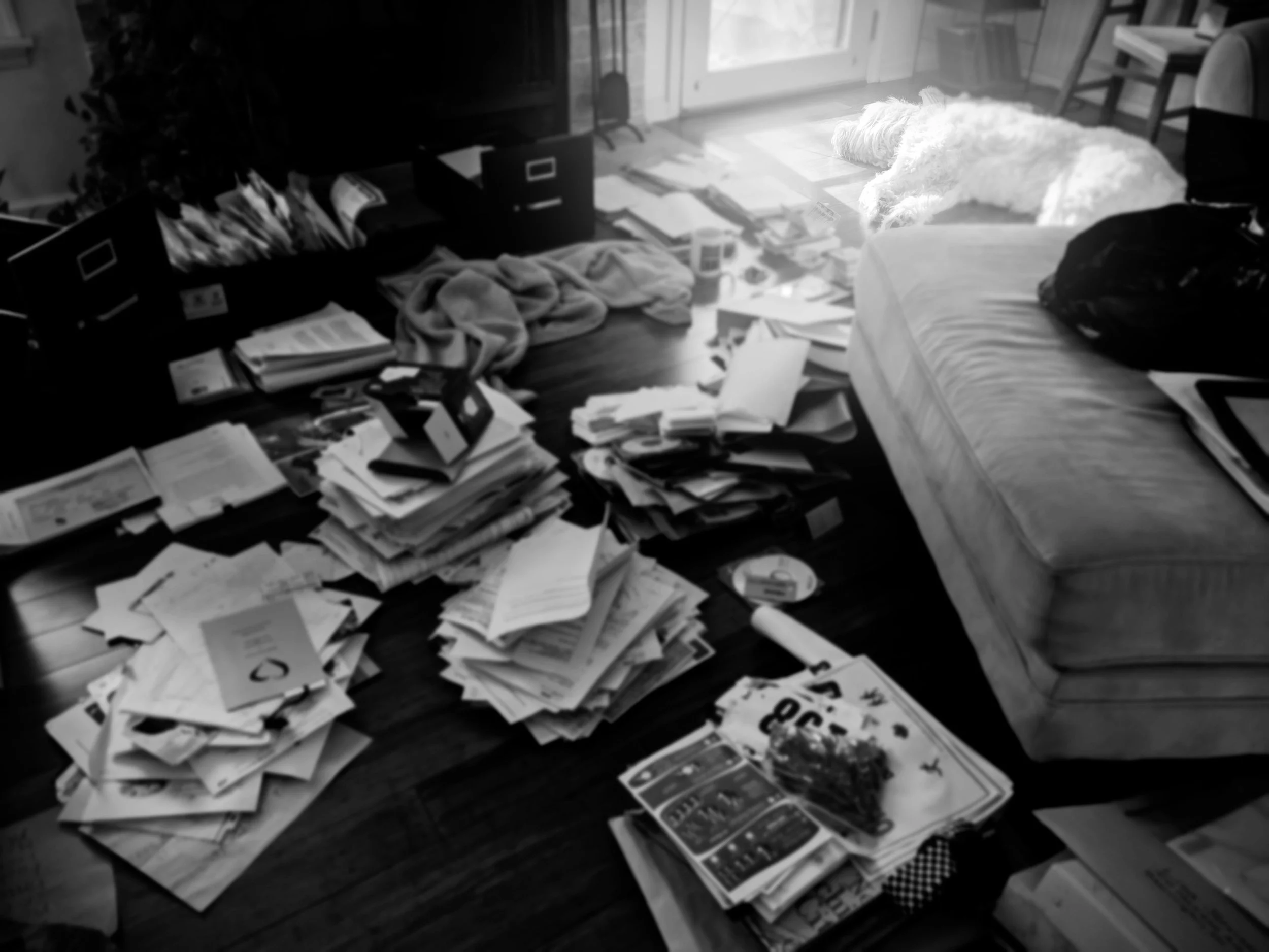 Blog_Clutter_IMG_20190114_111150.jpg