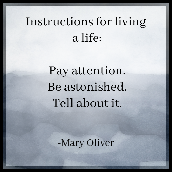 Meme_MaryOliver_Be Astonished.png