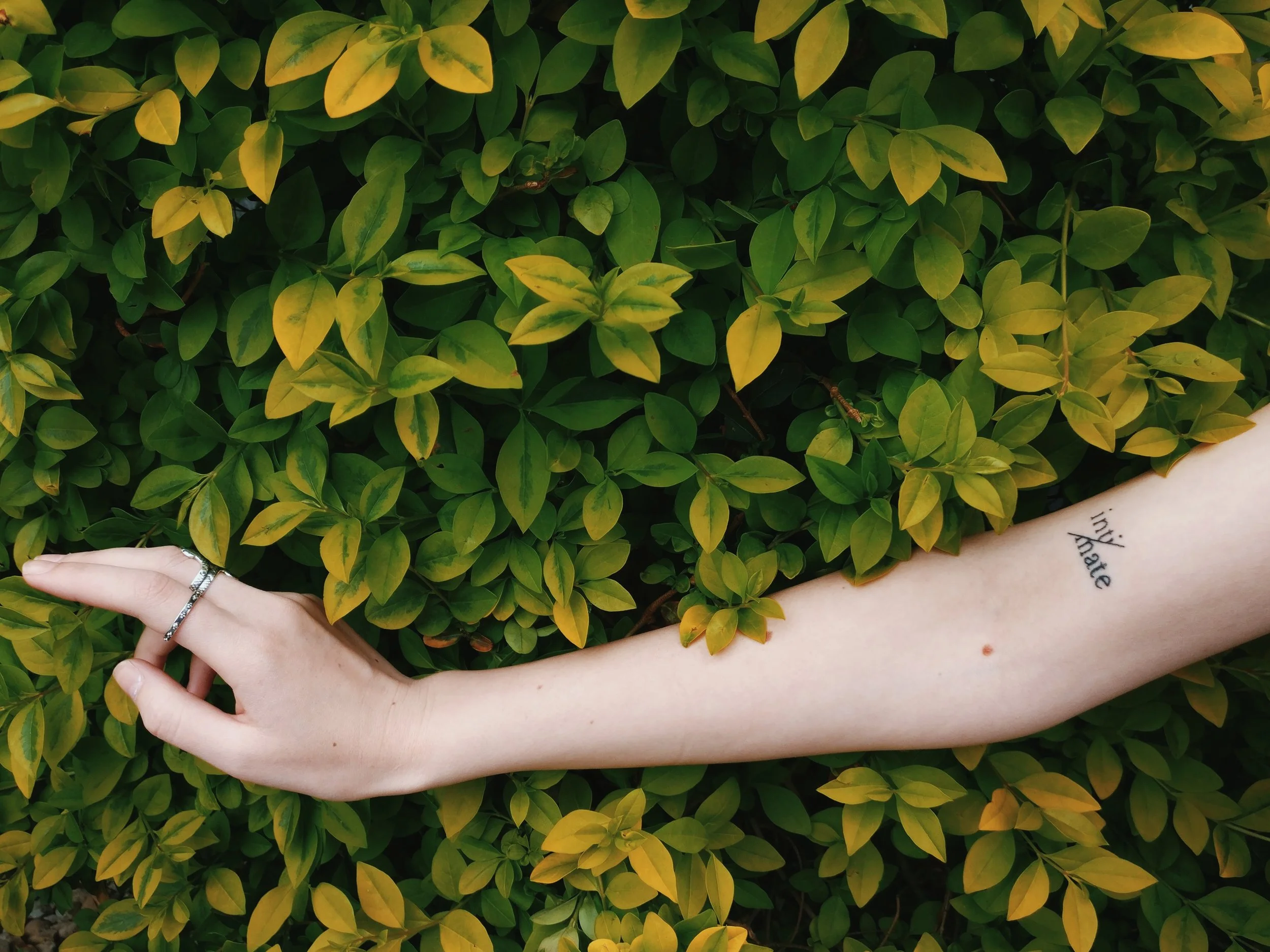 Photo by Marius Spita on Unsplash