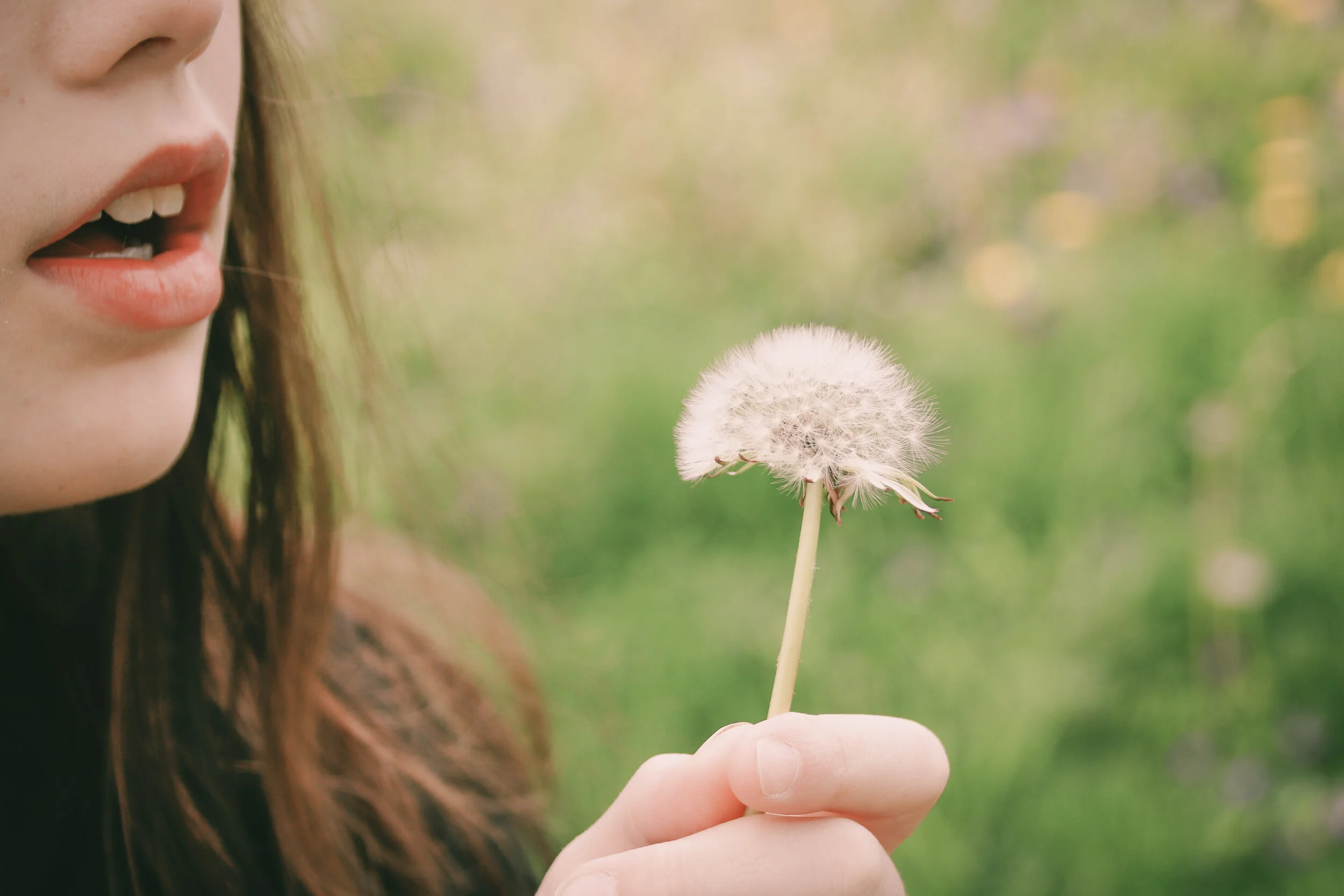 My daughter, moments before a "weed" let her blow wishes into the wind...