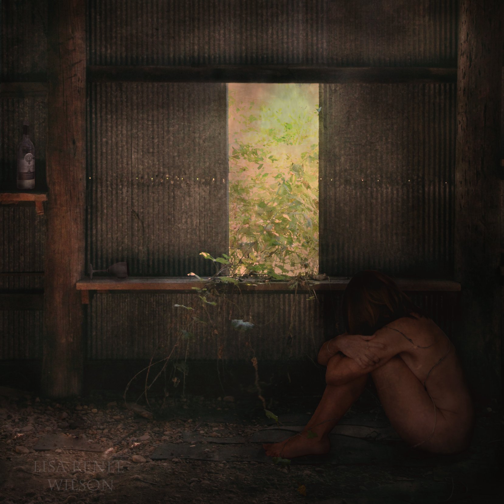 A composite image I created, titled “The Naked Truth”