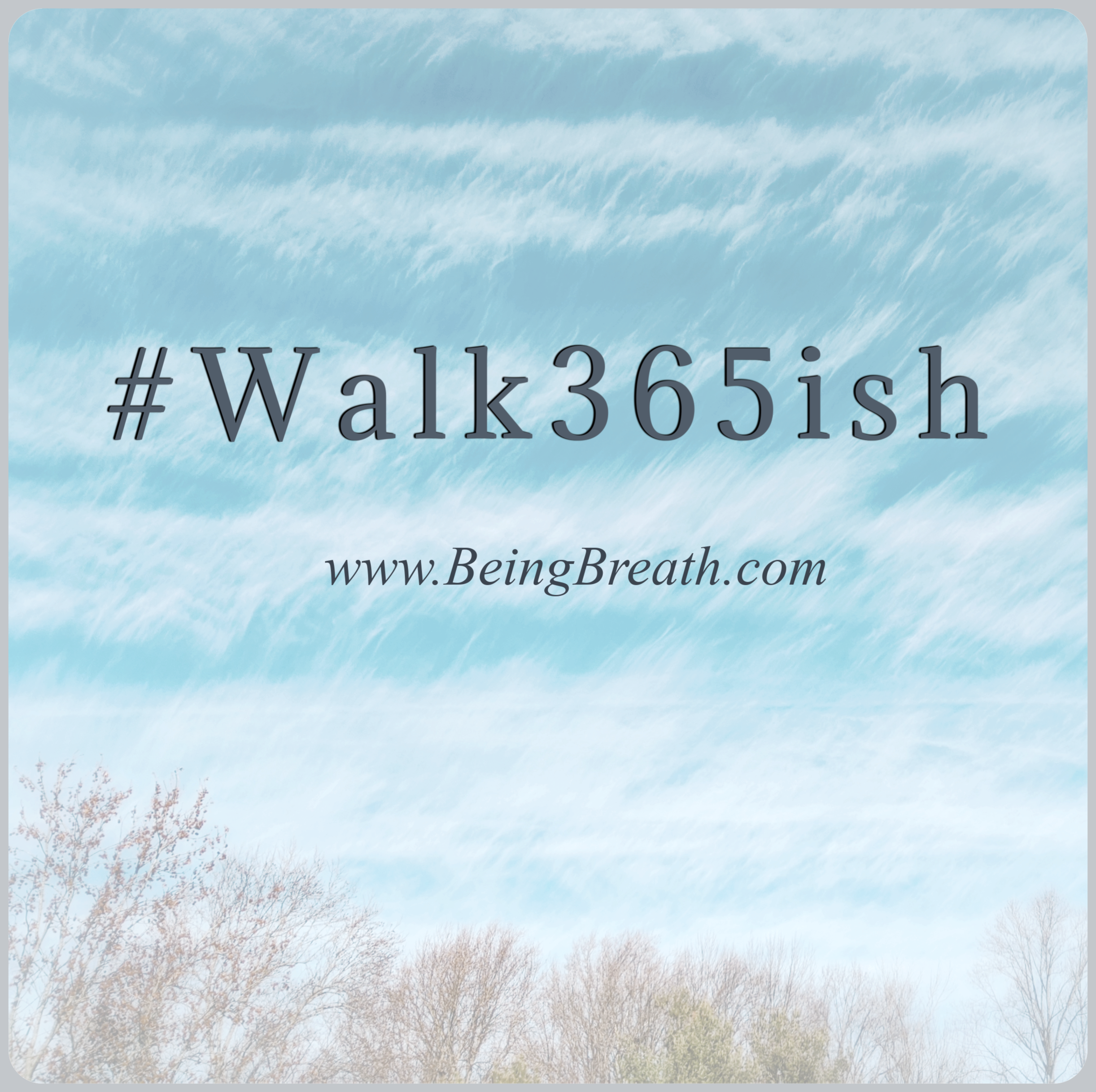 Walk365ish_20200106_112621.png