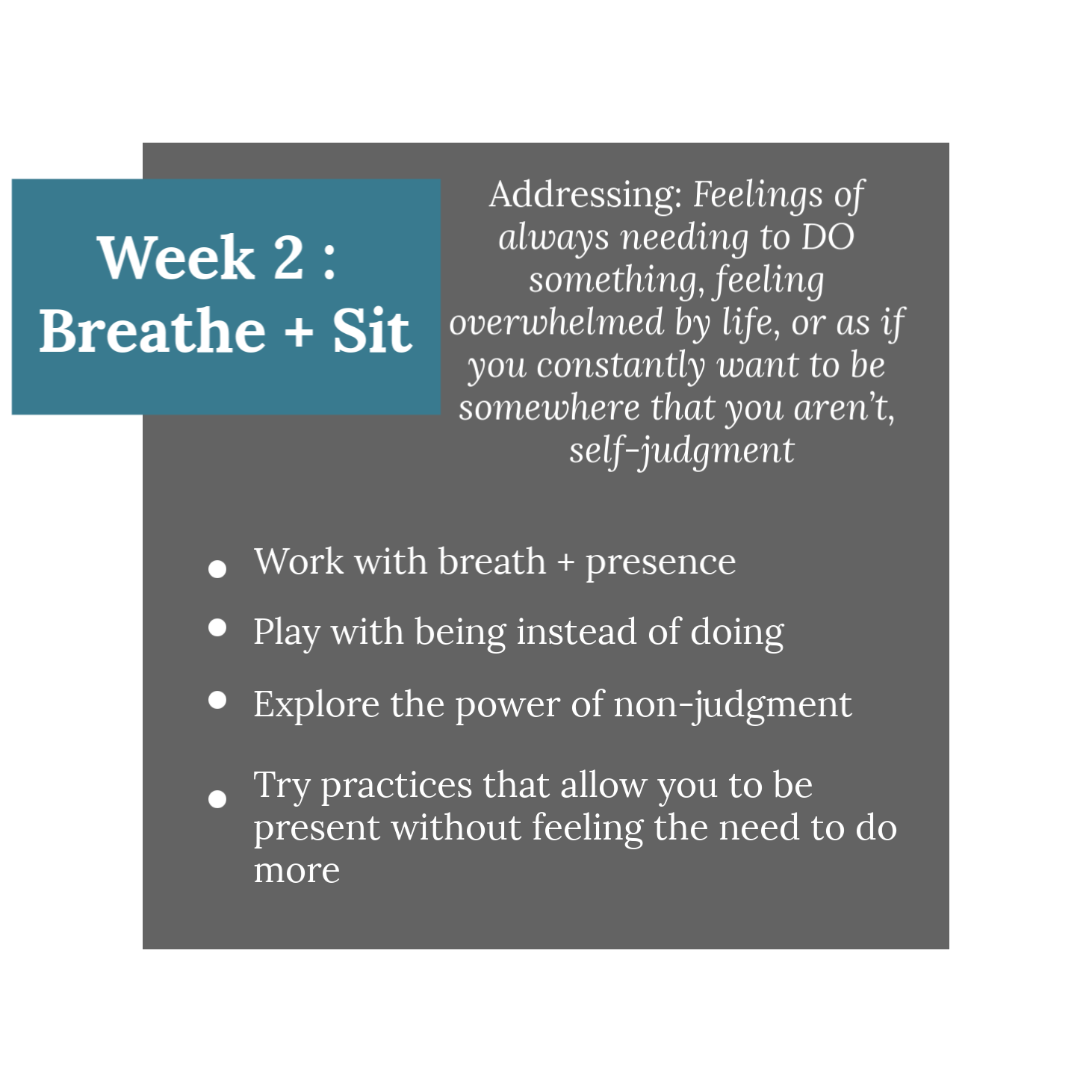 WTB-Web Image-In Week 2-Wk Label.png