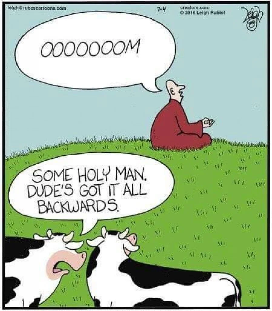 comic_farside_moo.jpeg
