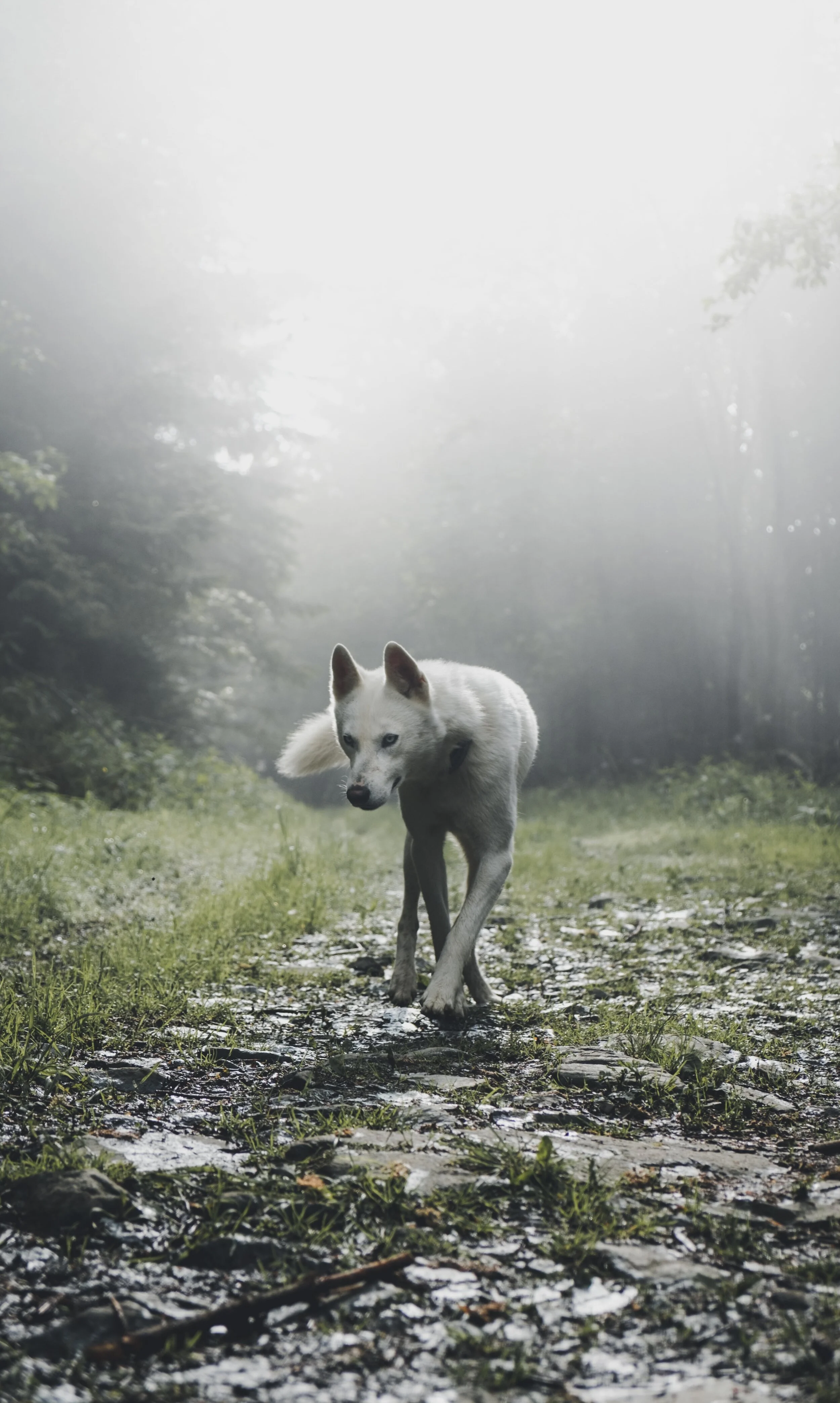 Photo by Marek Szturc on Unsplash