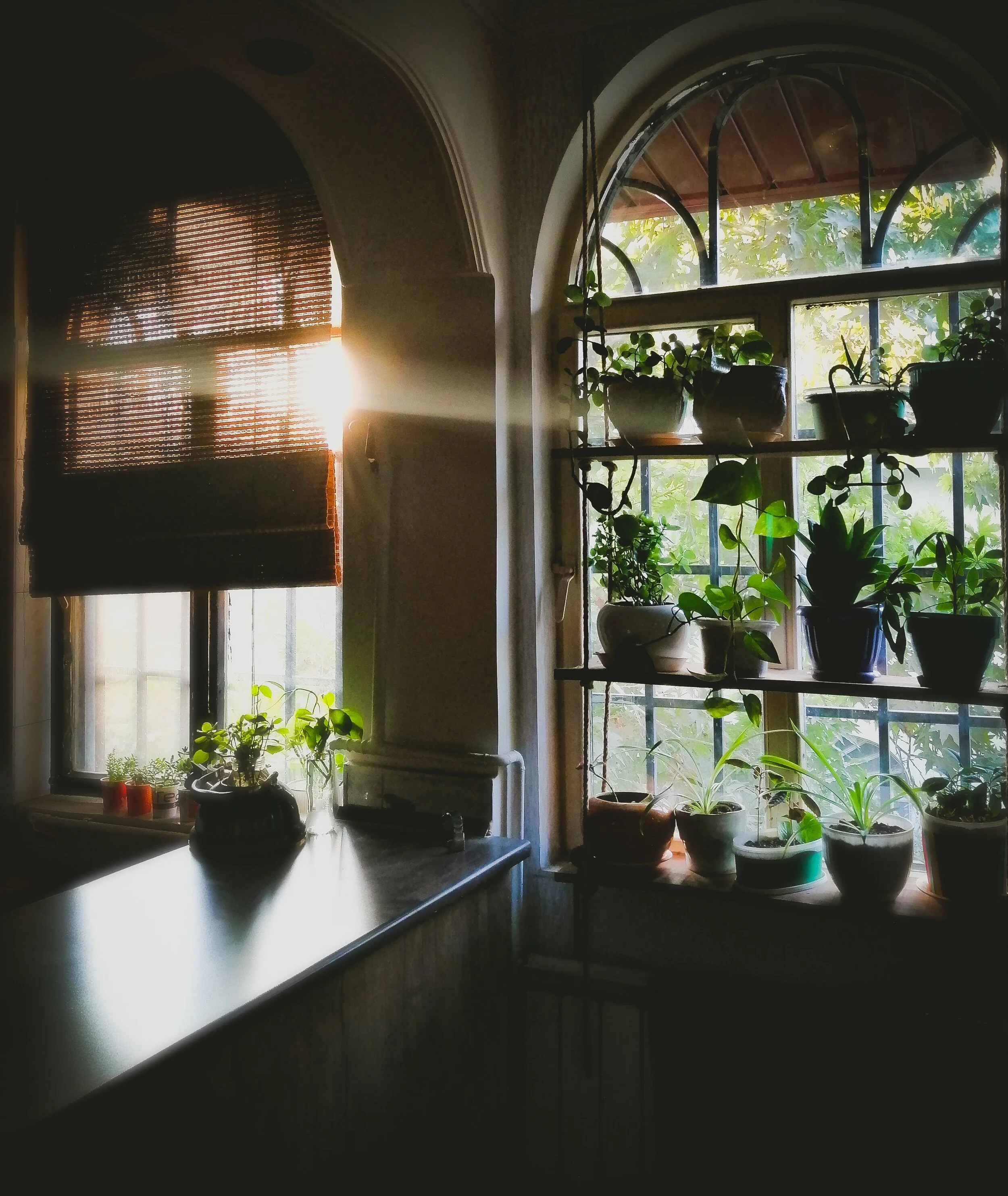 Photo by Nasim Keshmiri on Unsplash