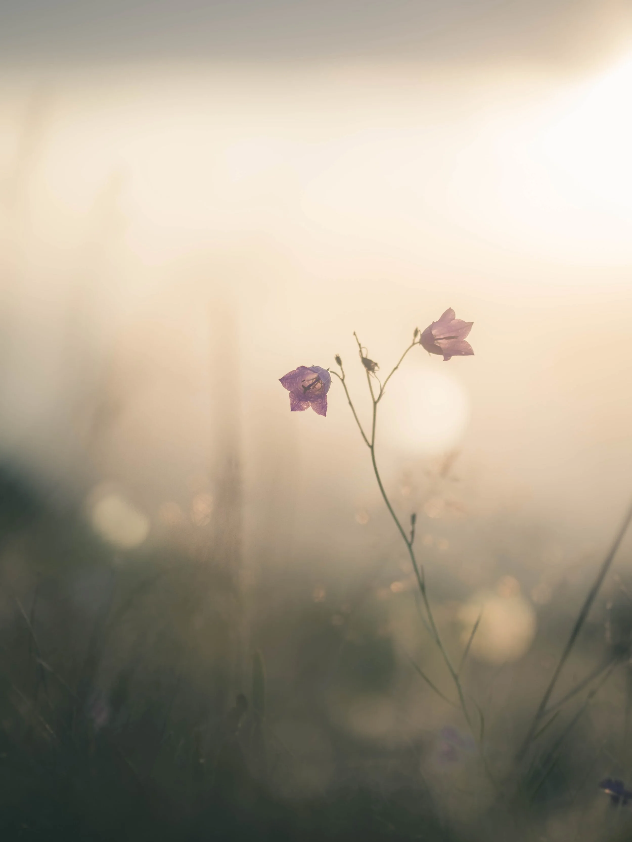 Photo by Tom Morel on Unsplash