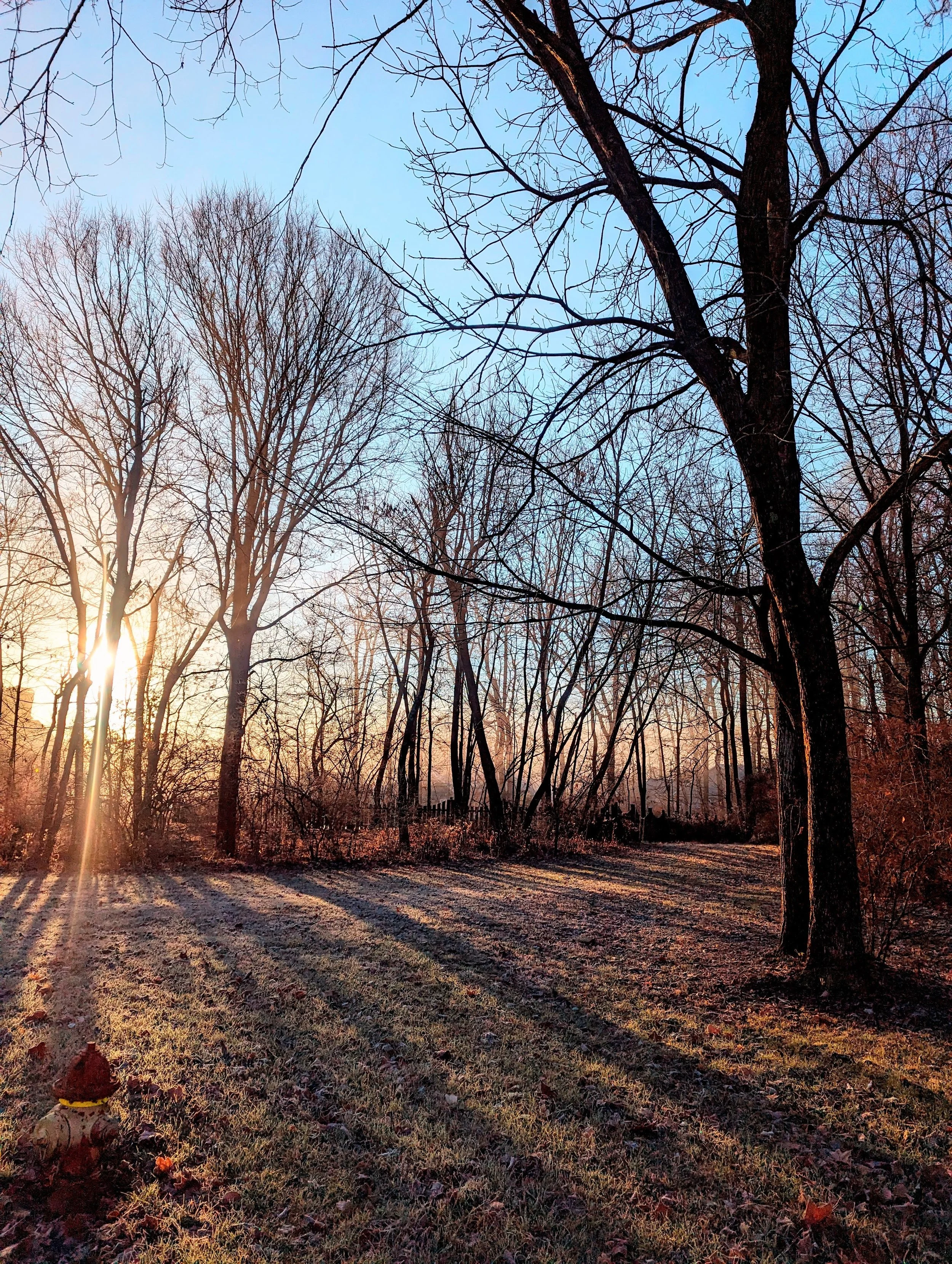 Happy New Day