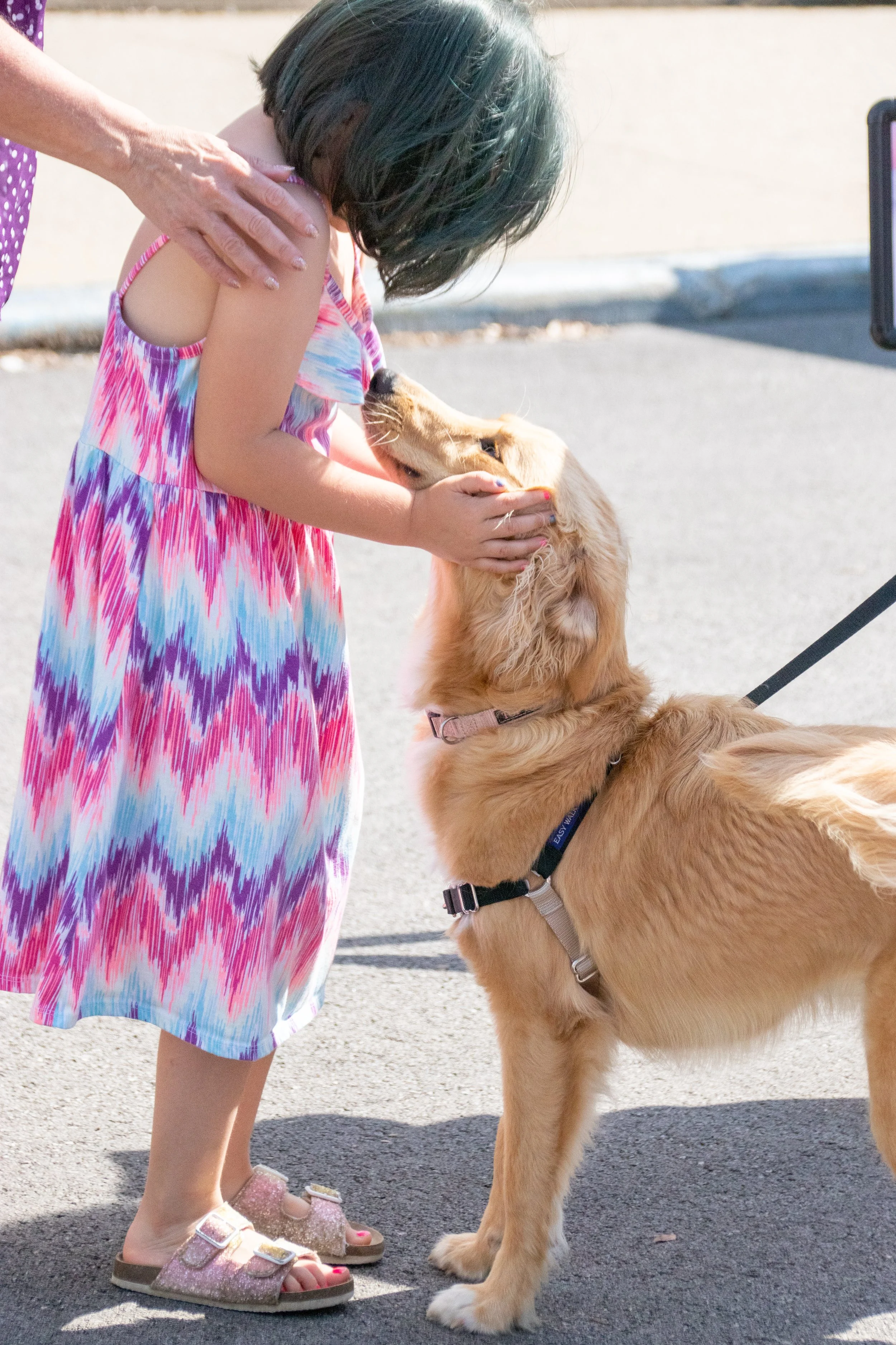 little girl snuggles up to dog