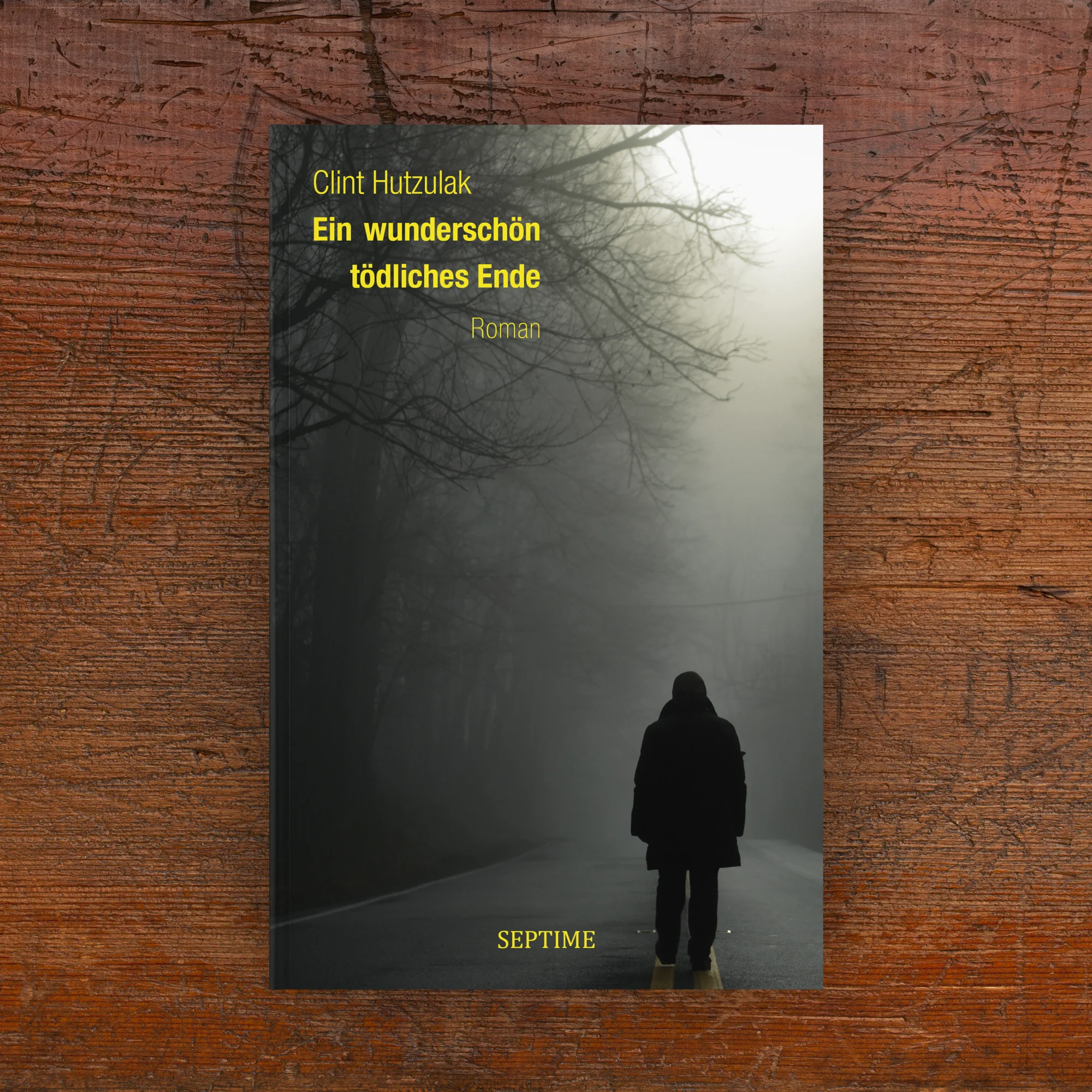 wunderschoen cover 3D flat 2000px.jpg