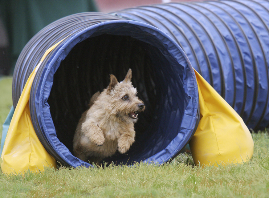 Andrew-Harley -Tunnel.jpg