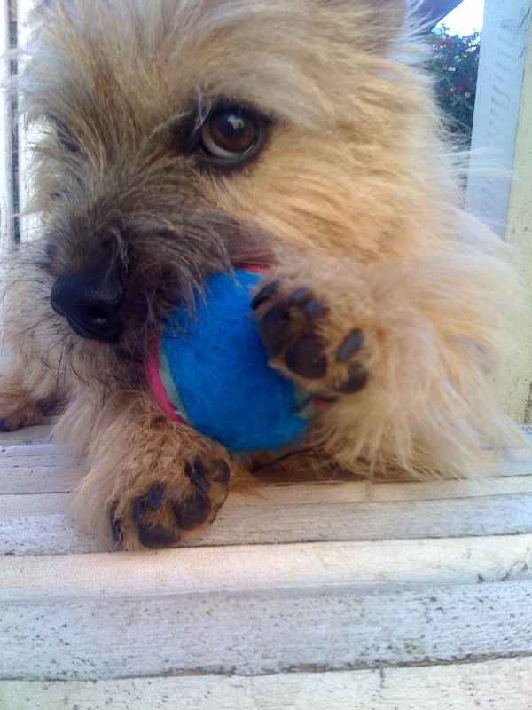 Grizzley and Ball.jpg