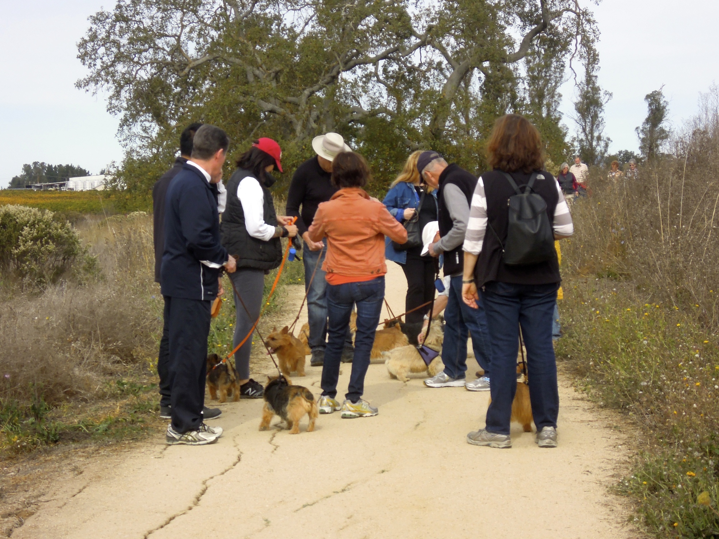 On the trail at the Balletto Winery Walk 2013.jpg