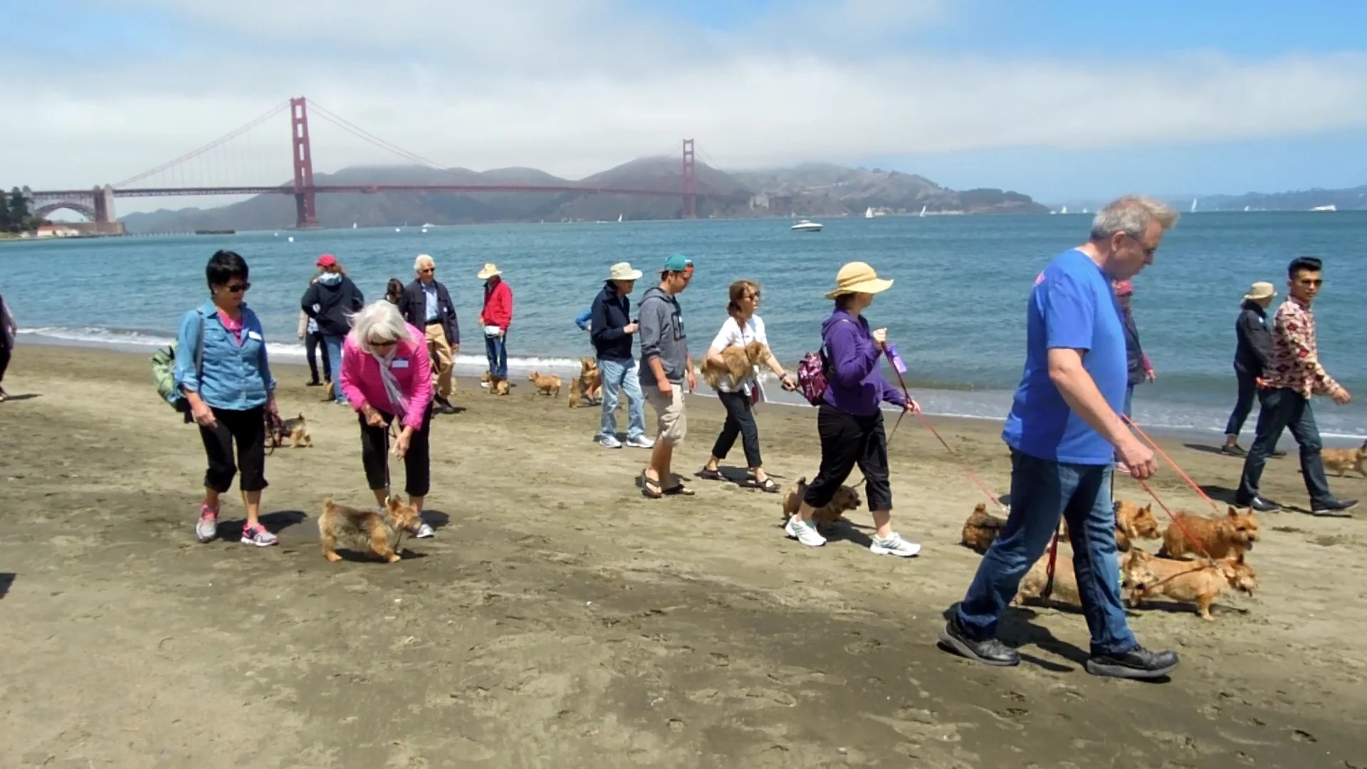 2015 CRISSY FIELD WALK