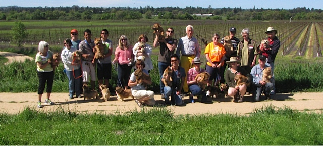 2015 WALK AT BALLETTO WINERY AND LUGUNA SANTA ROSA TRAIL