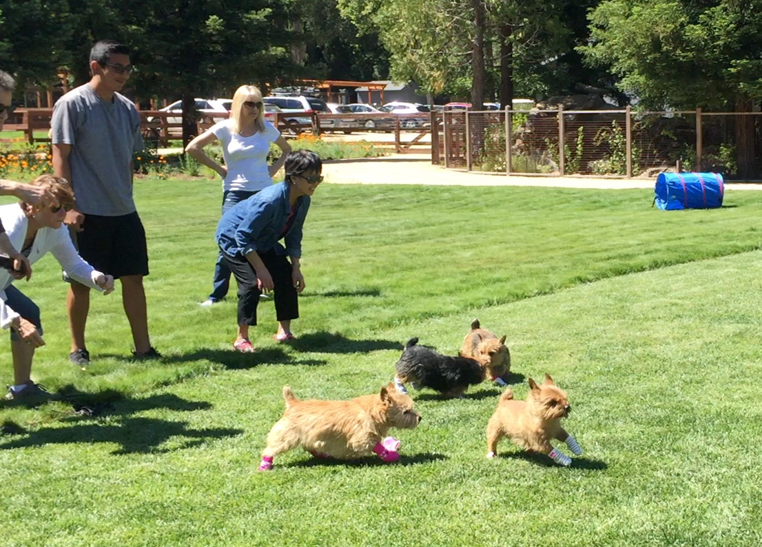 May 2016 Activity Day Sock Race