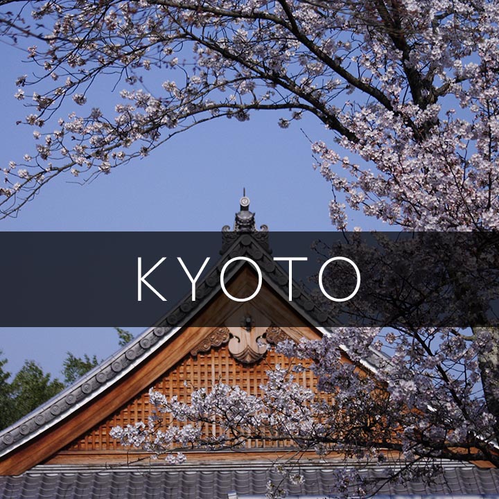 Kyoto Photoshoot.jpg