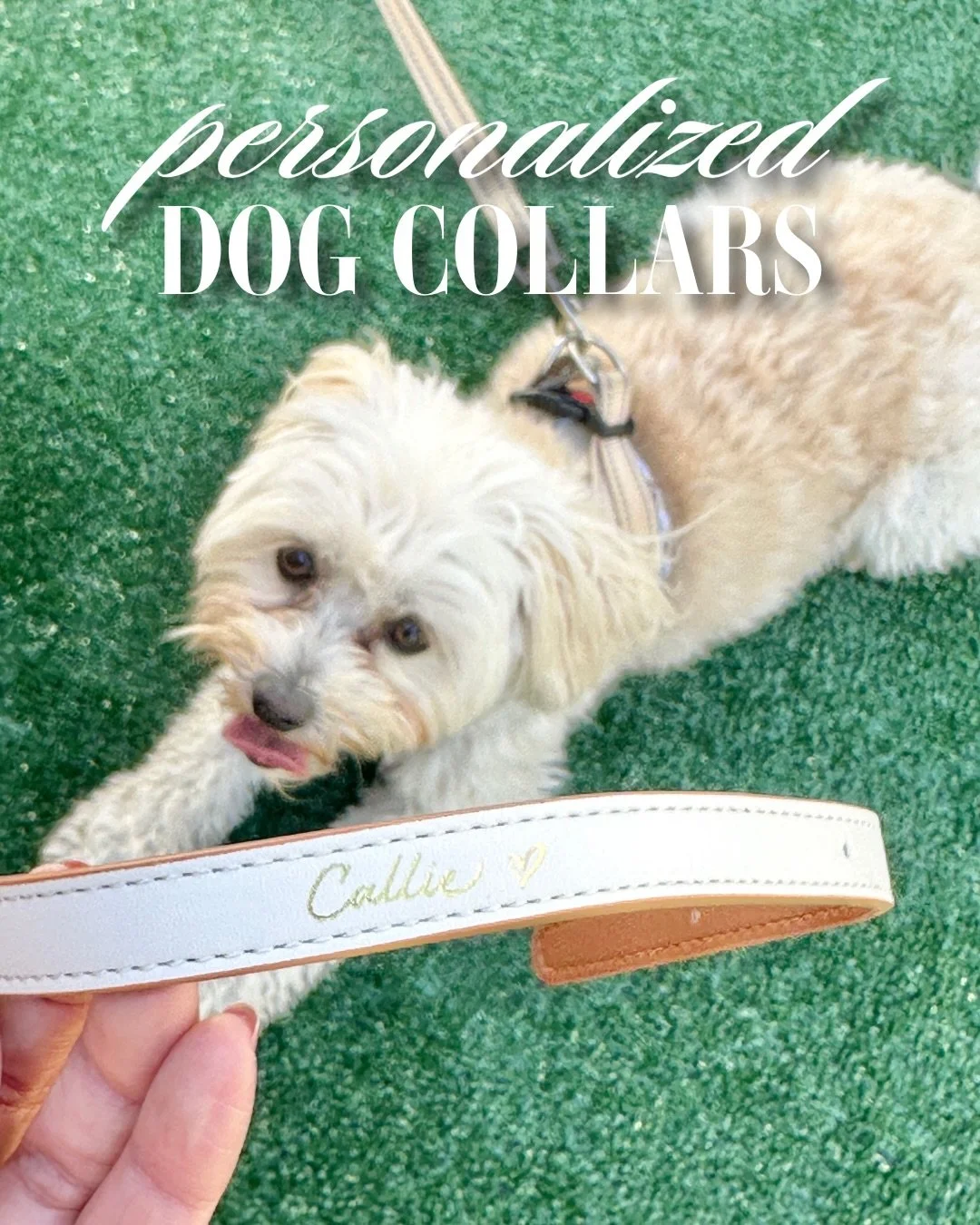 Met the cutest pups in West Hollywood. Personalized dog collars using hot foil calligraphy for @justfoodfordogs for their special event. 

#losangelescalligrapher #losangelesengraver #personalizedgifts #brandactivation #experientialmarketing
