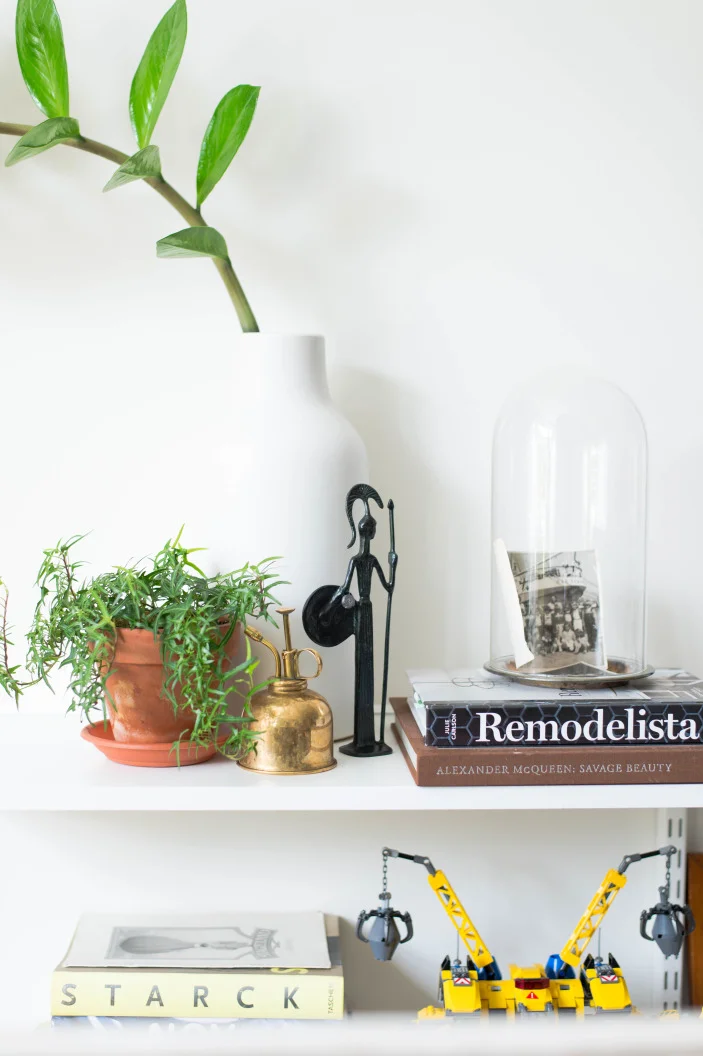 Shelf Detail Branch 2.jpeg