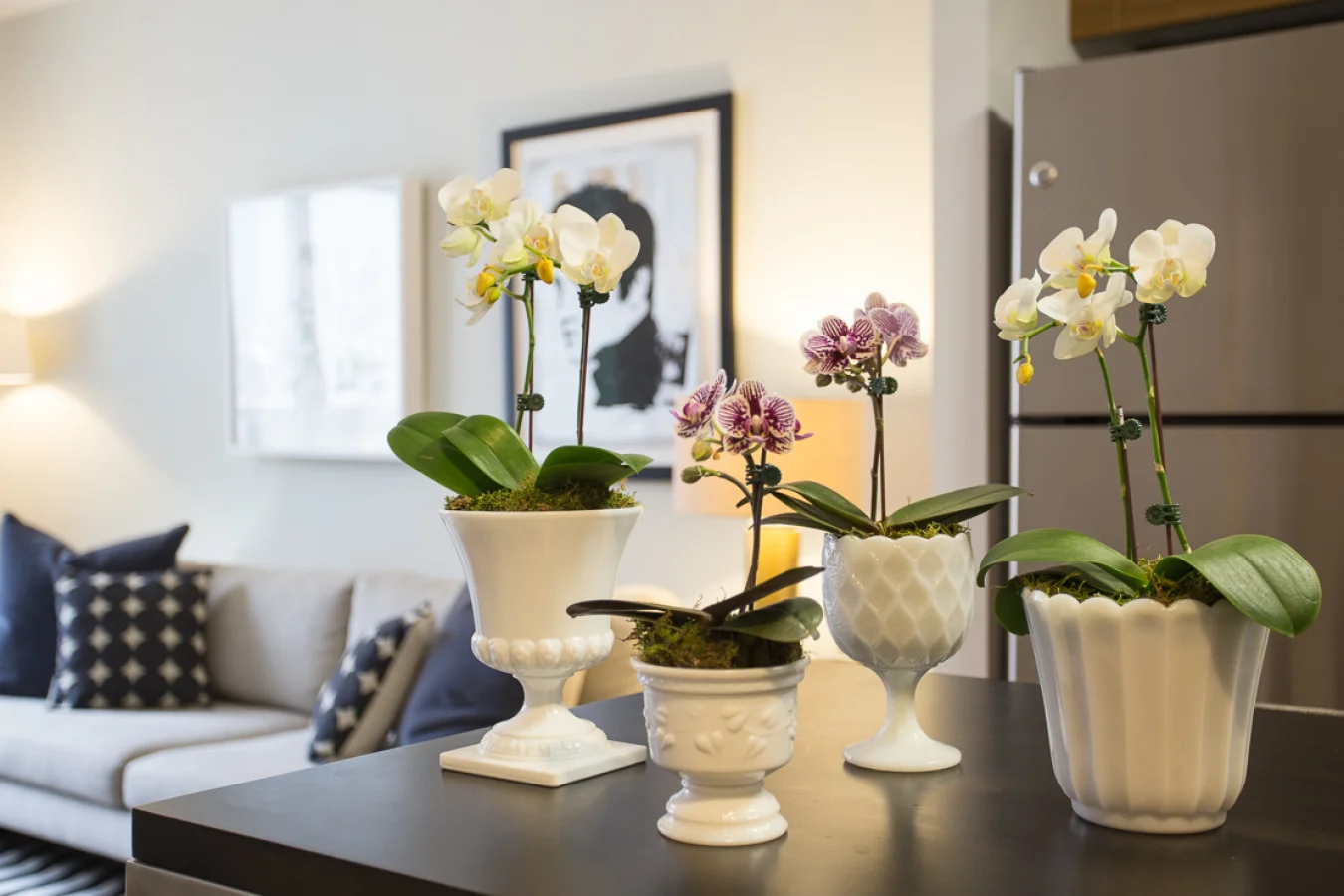 Table with Orchids.jpeg