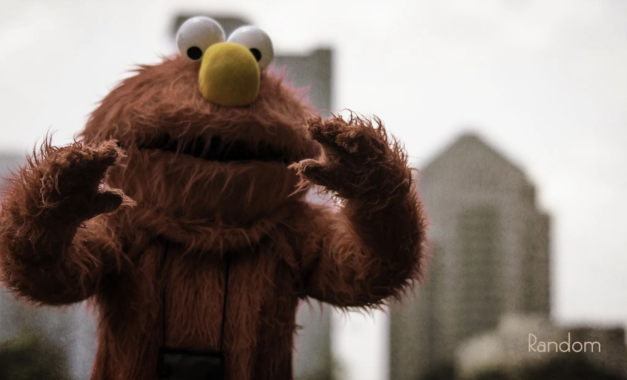 Random Elmo.jpg