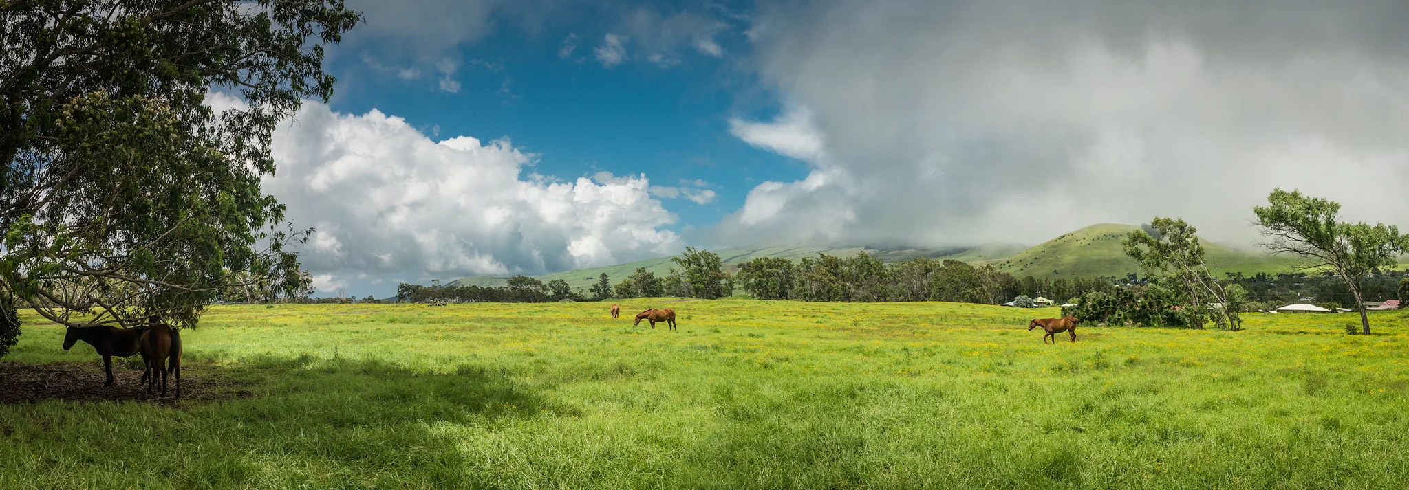 hawaii-6.jpg