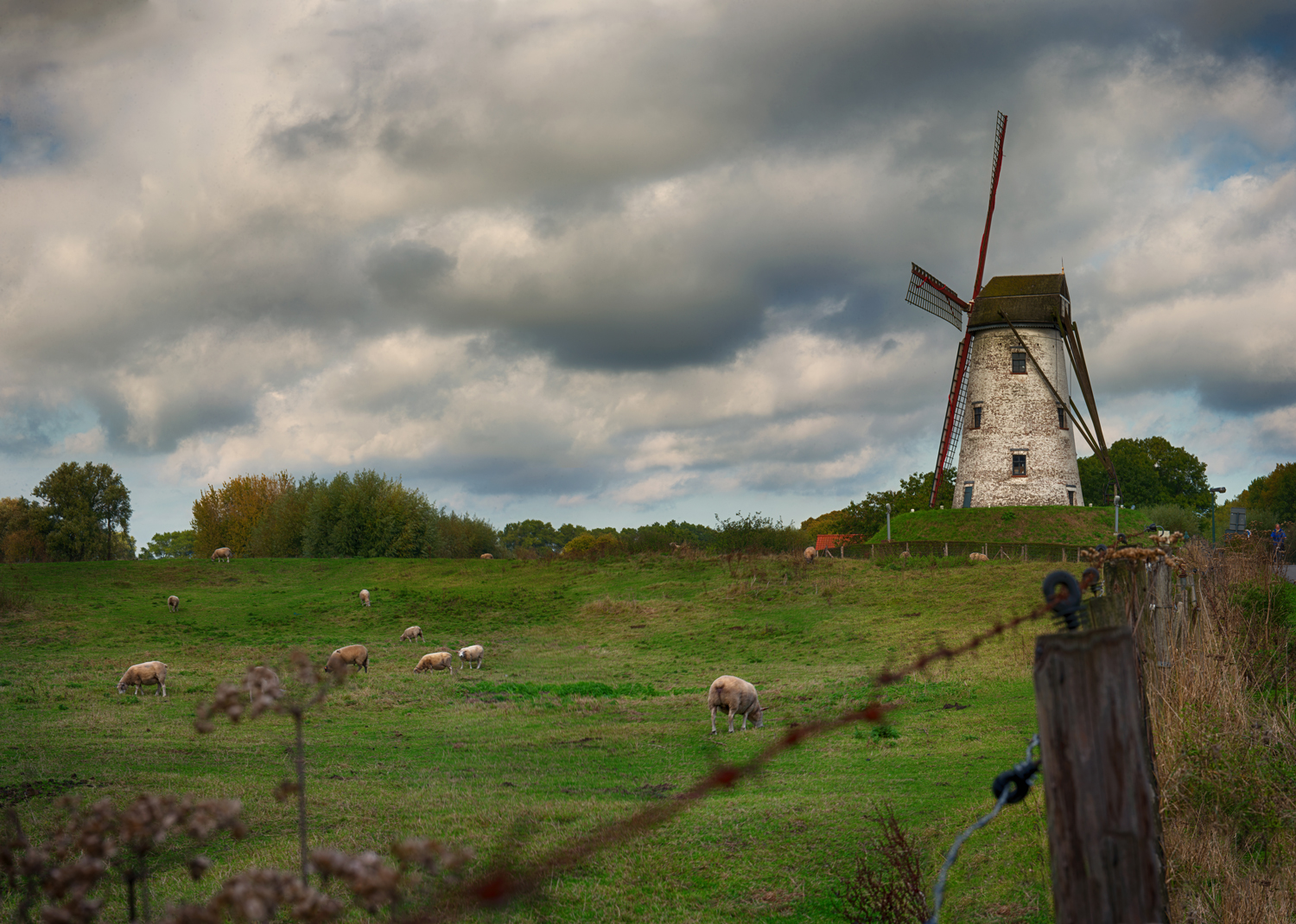 Windmill5.jpg